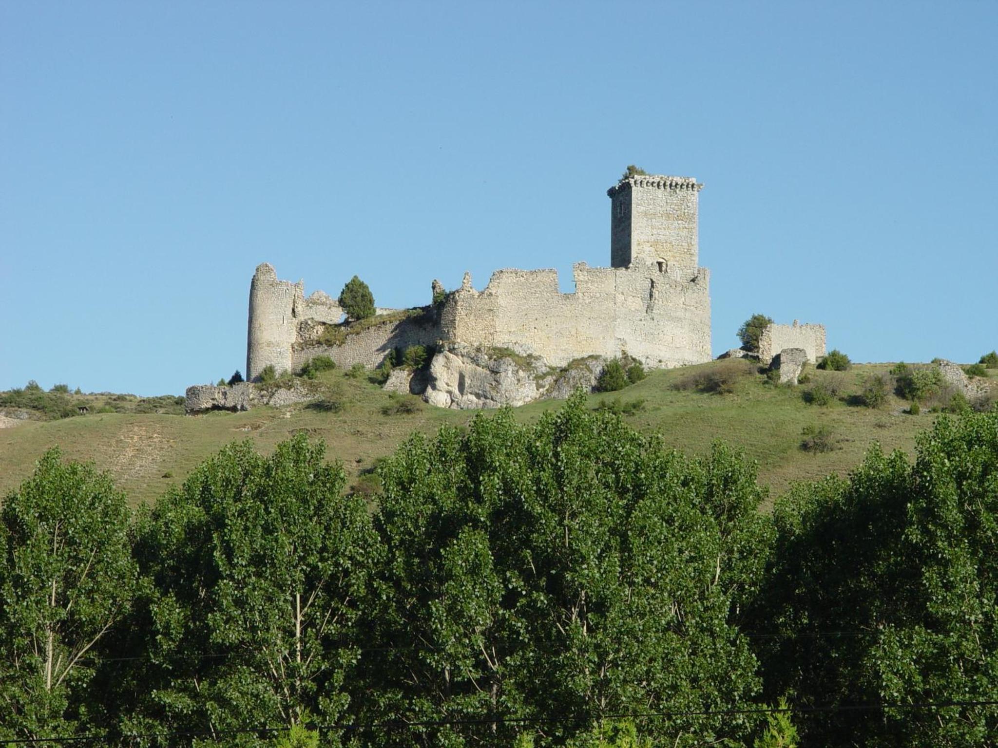 Photo 14