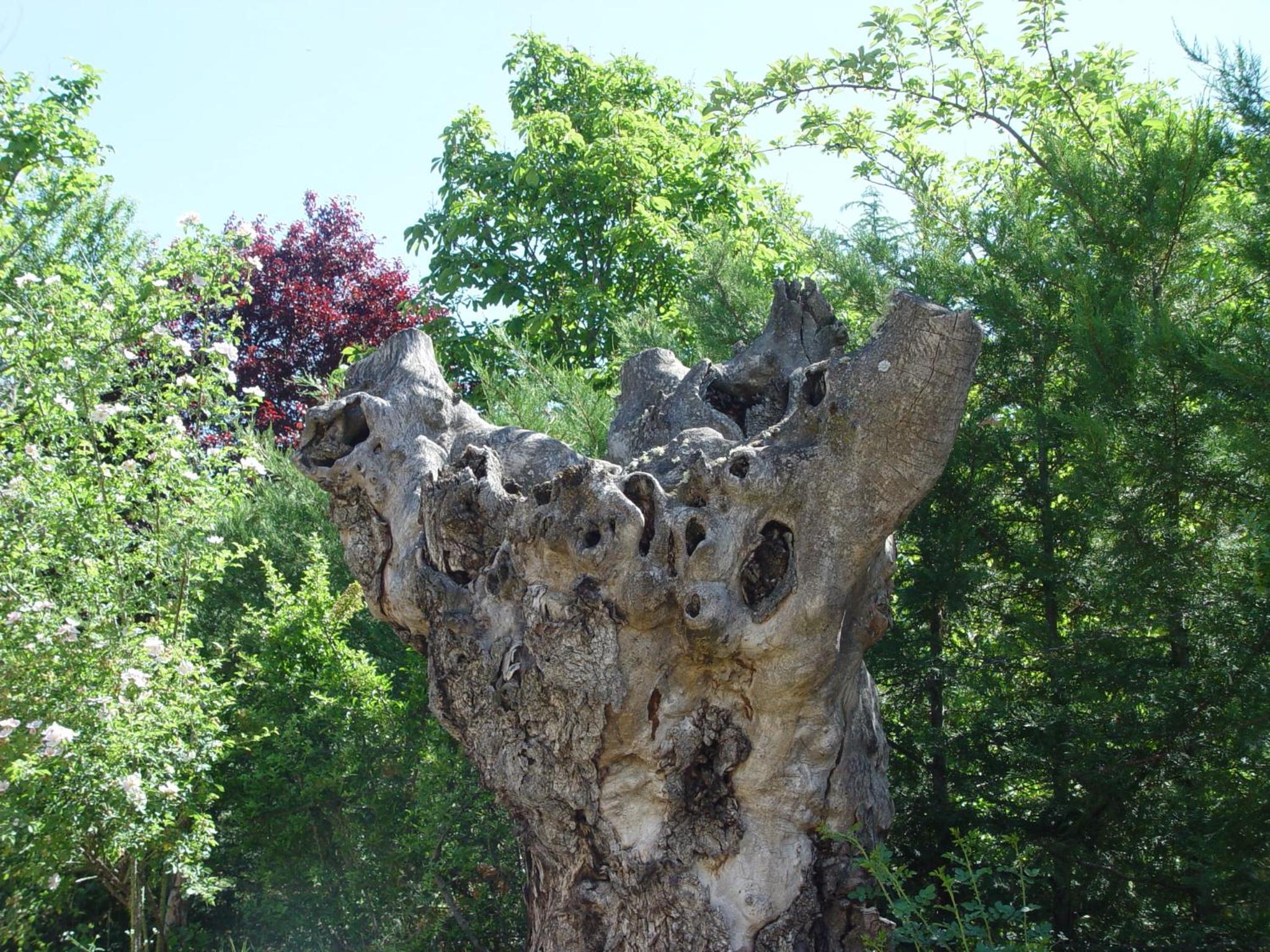 Photo 22