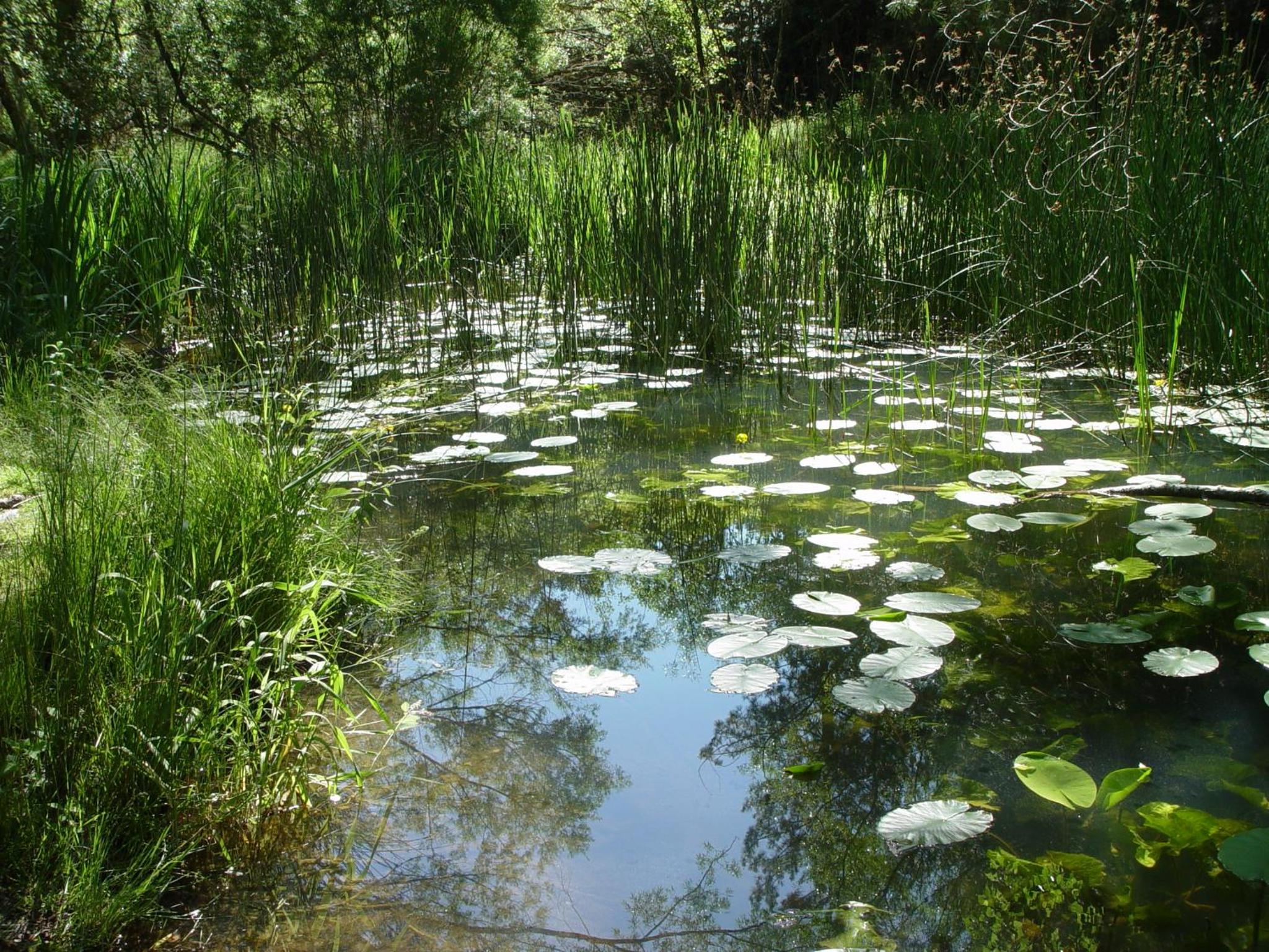 Photo 25