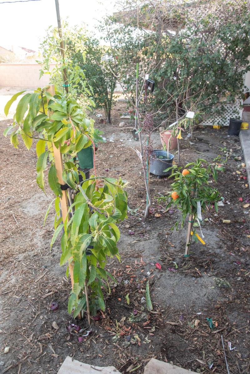 Palm Springs Vacations - Crashpod Hostel - Property Image 44