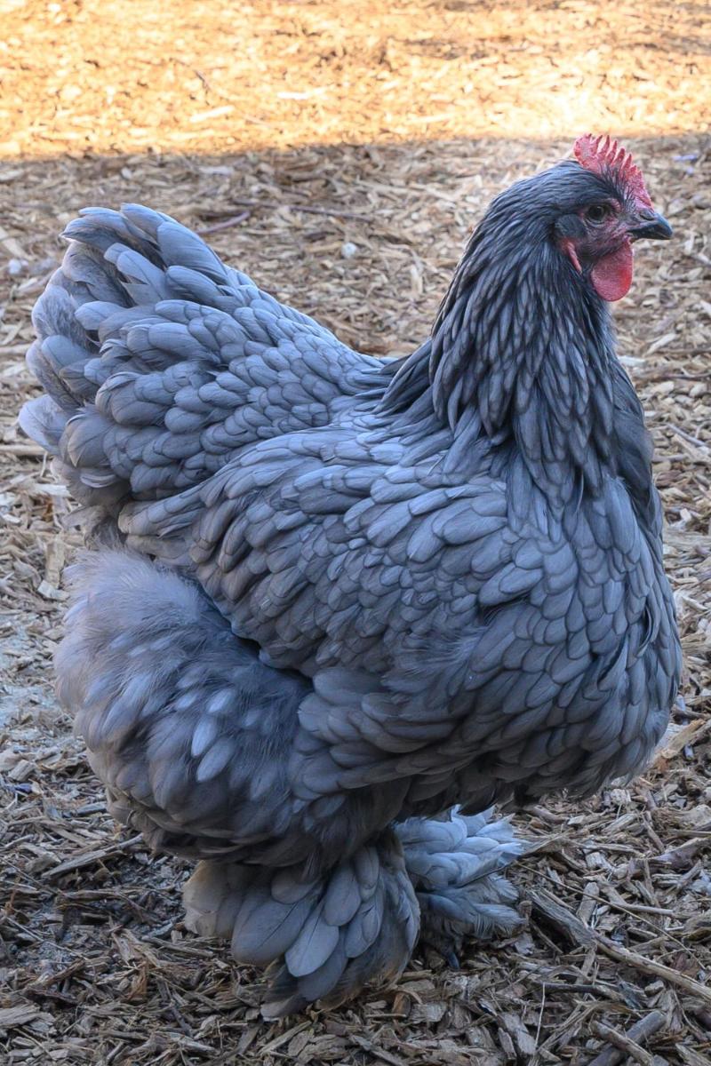 Palm Springs Vacations - Crashpod Hostel - Property Image 19