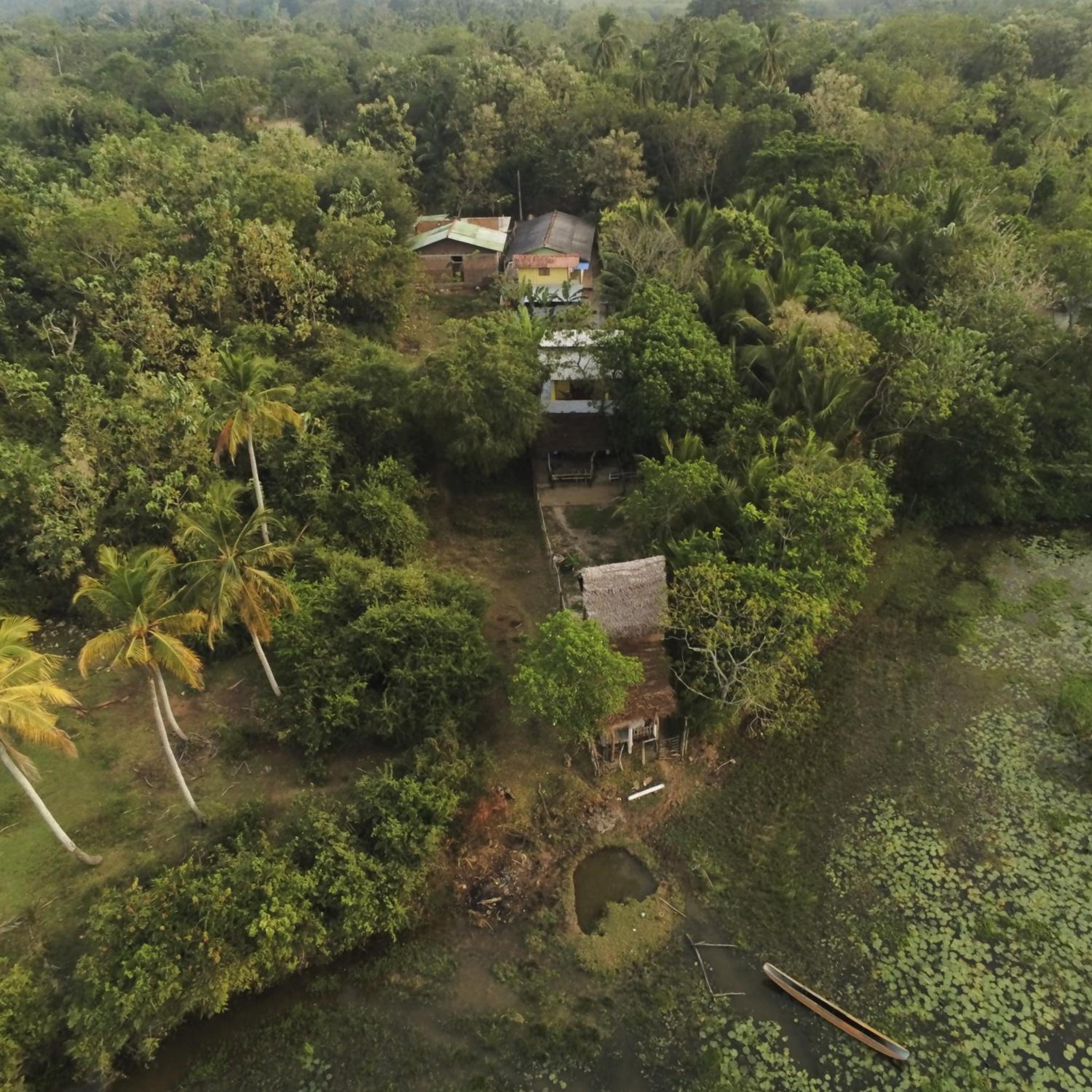 Photo 22