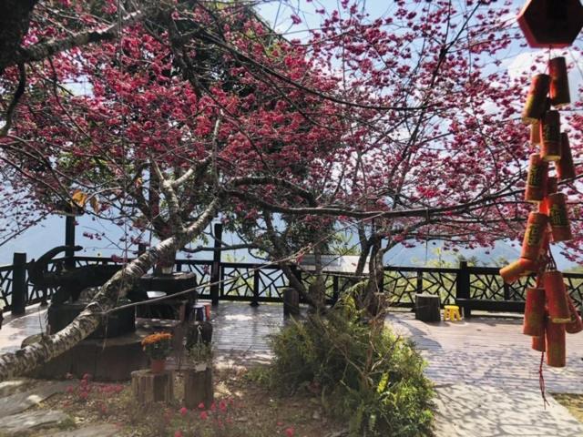 Yunnan Homestaty