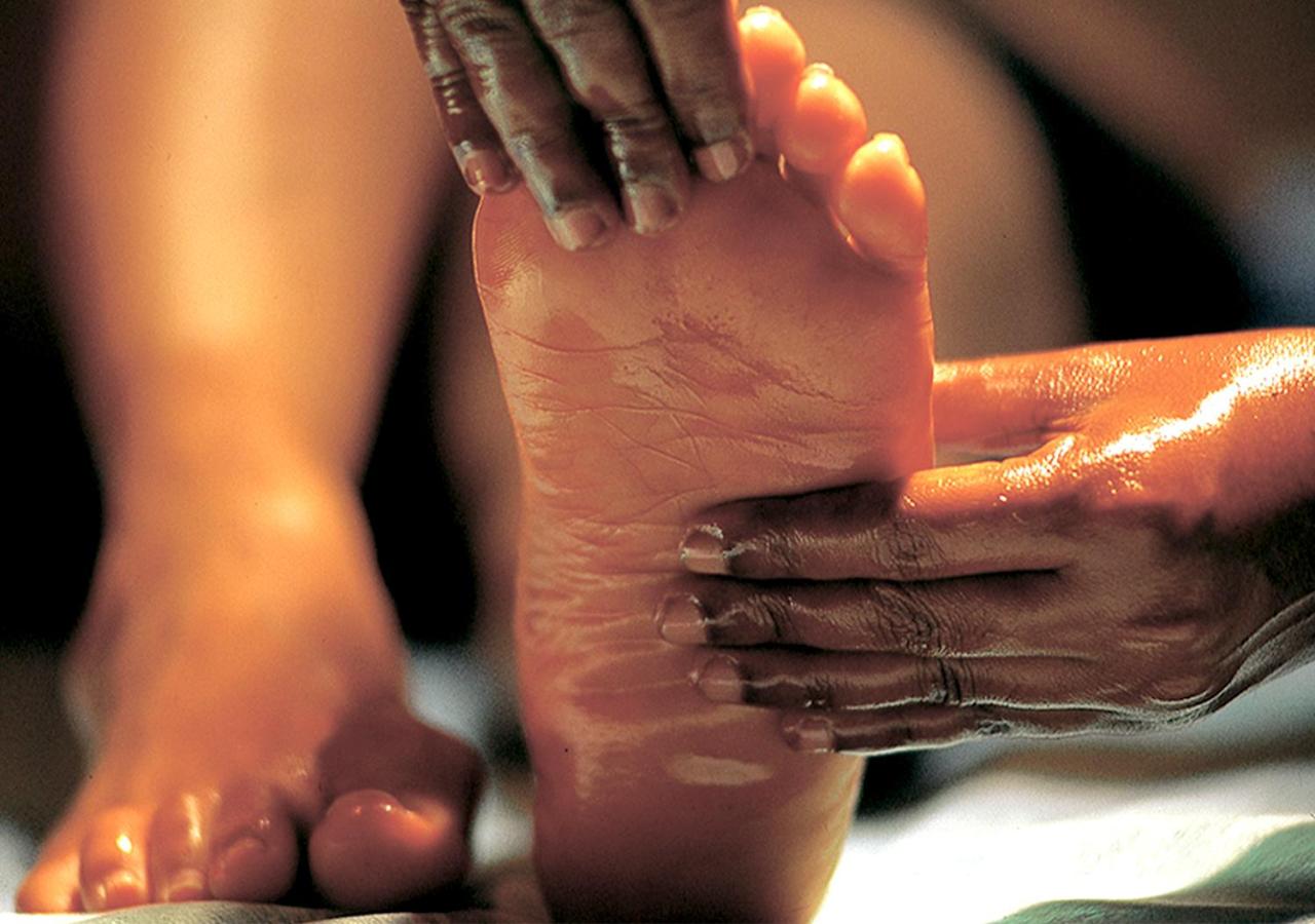 Siddhalepa Ayurveda Resort - All Meals, Ayurveda Treatment and Yoga