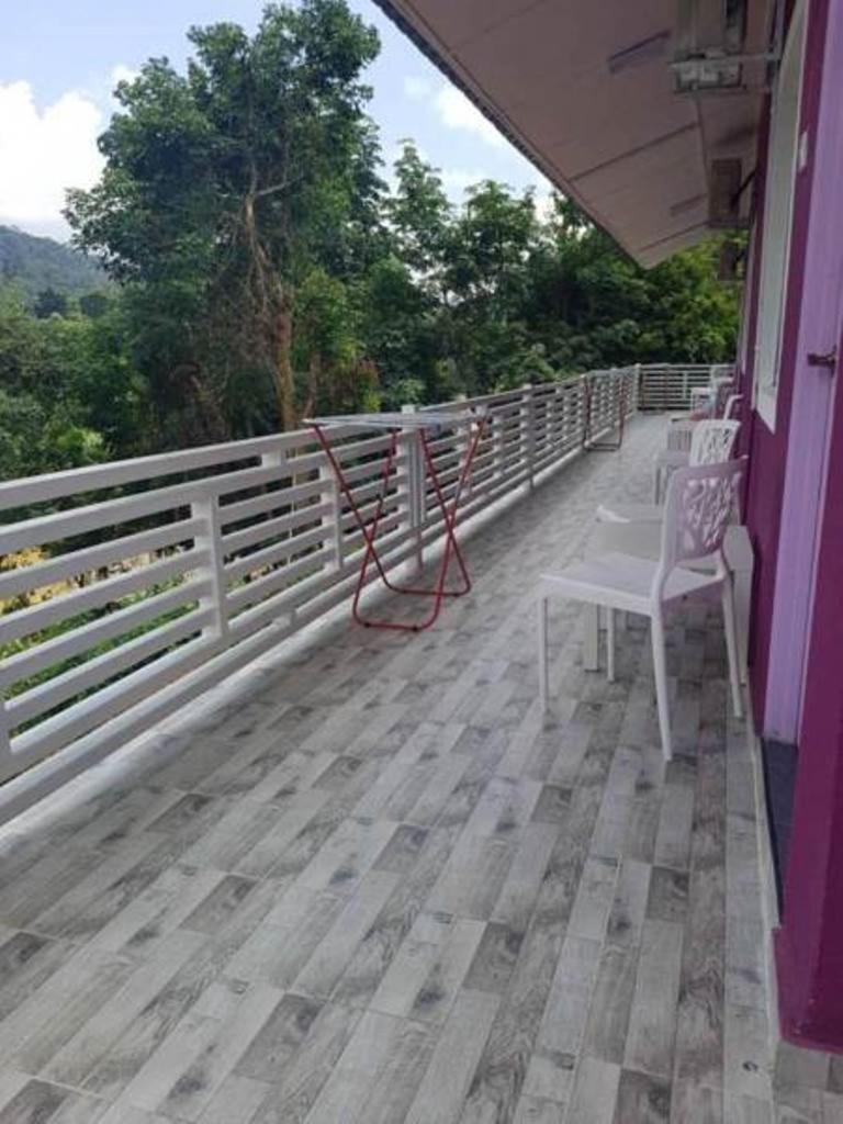 Taman Negara River View Lodge