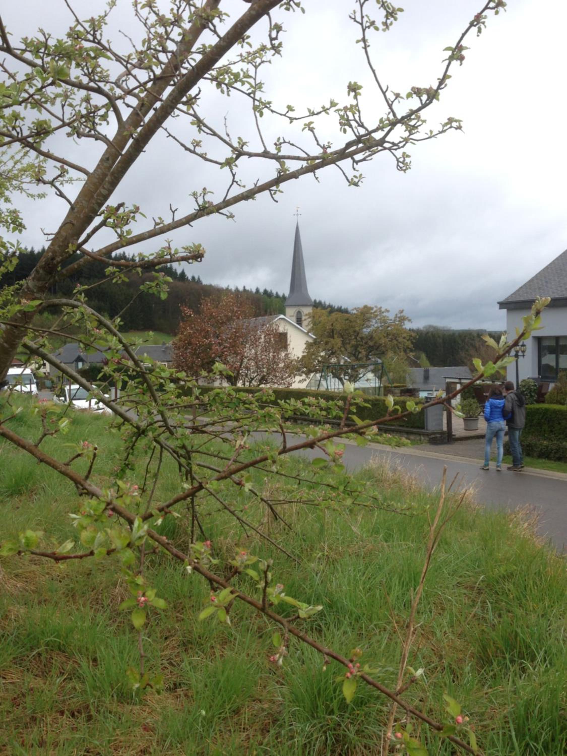 Vakantiewoning mogimont