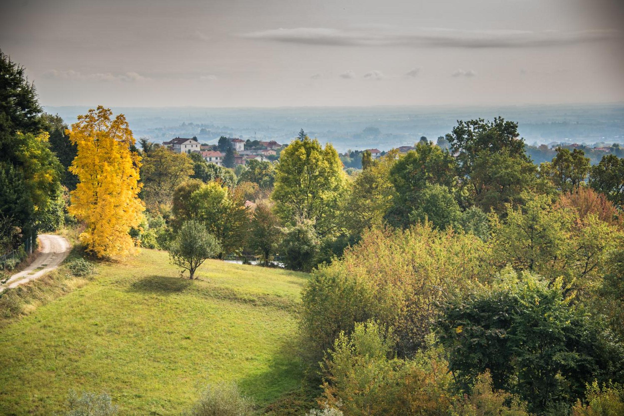 Agriturismo "La Collina" - 15km dal centro di Torino view 4