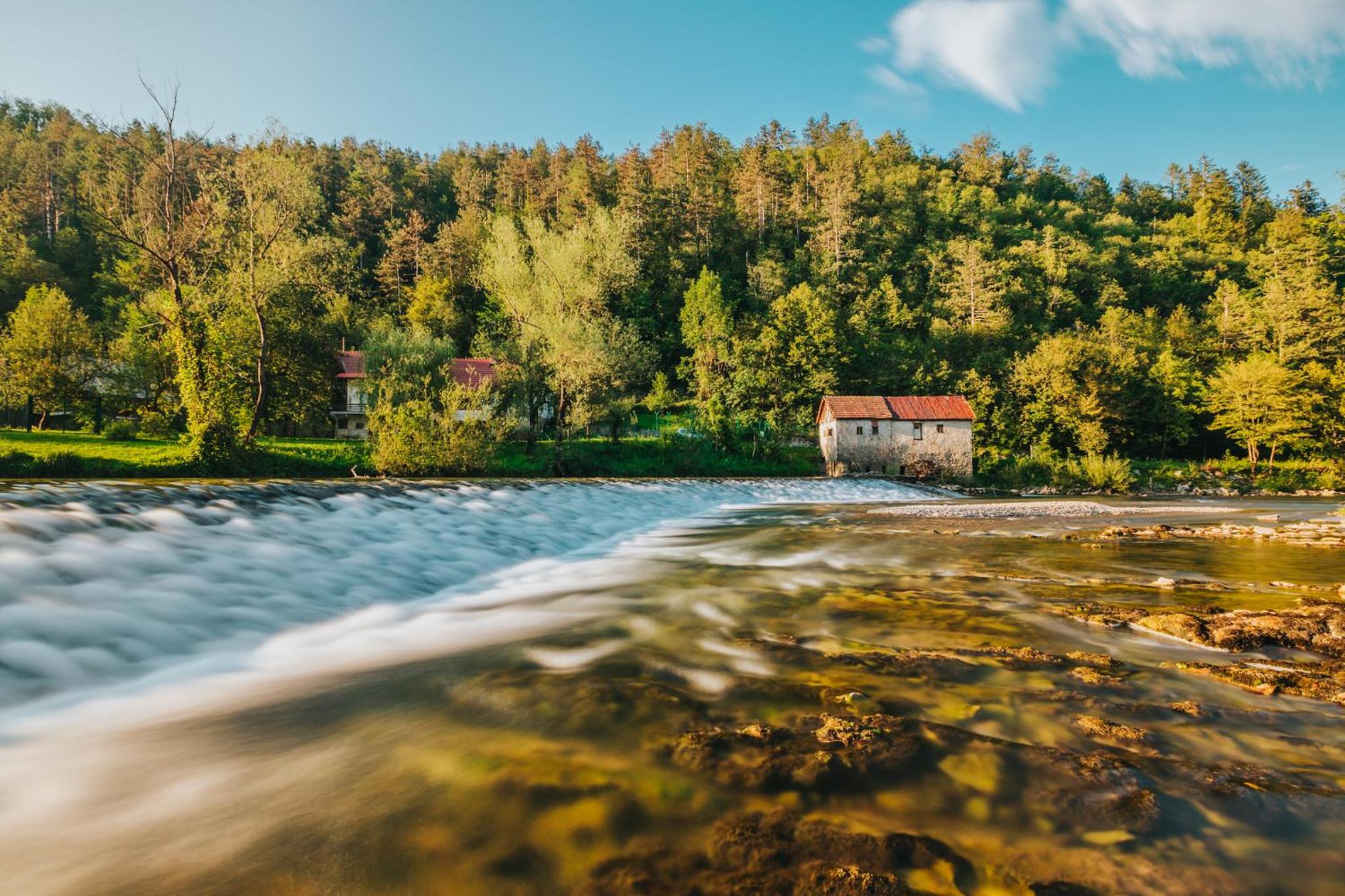 Photo 15
