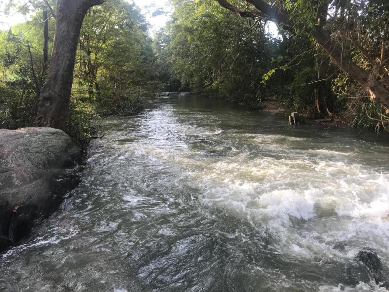Sahana Retreat view 4