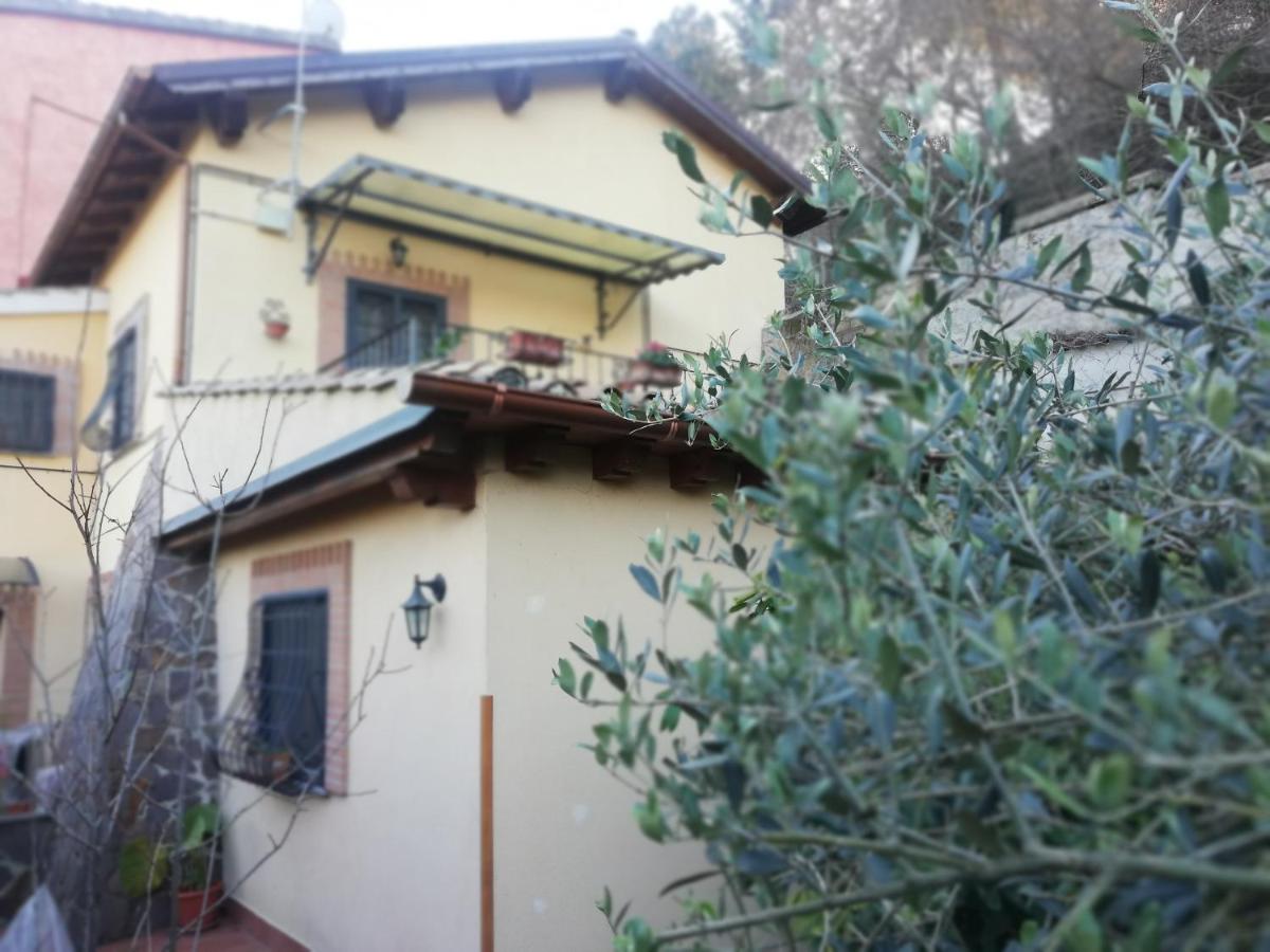 Il Pettirosso photo 3