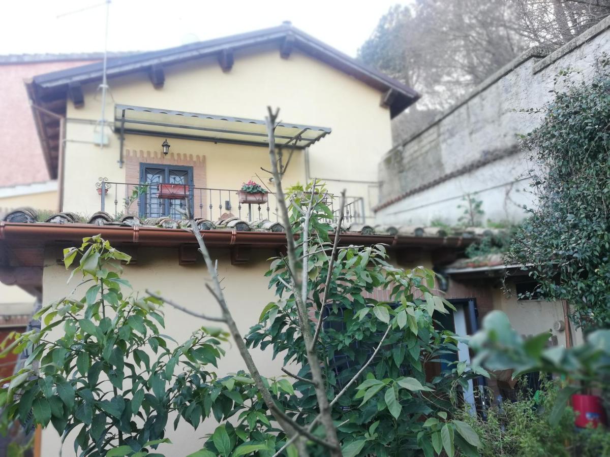 Il Pettirosso photo 5