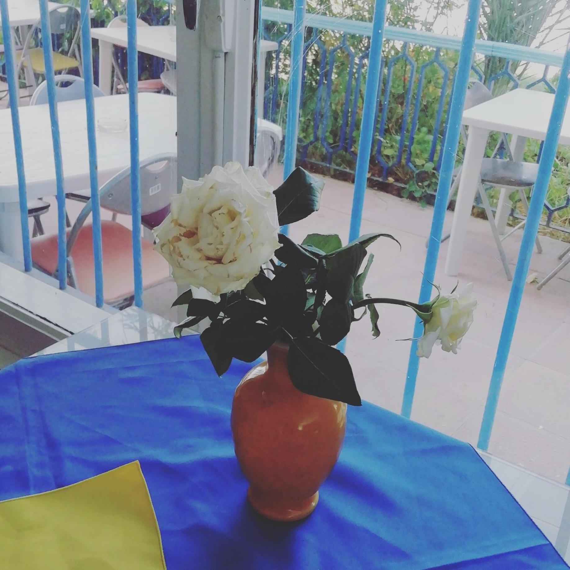 Photo 38