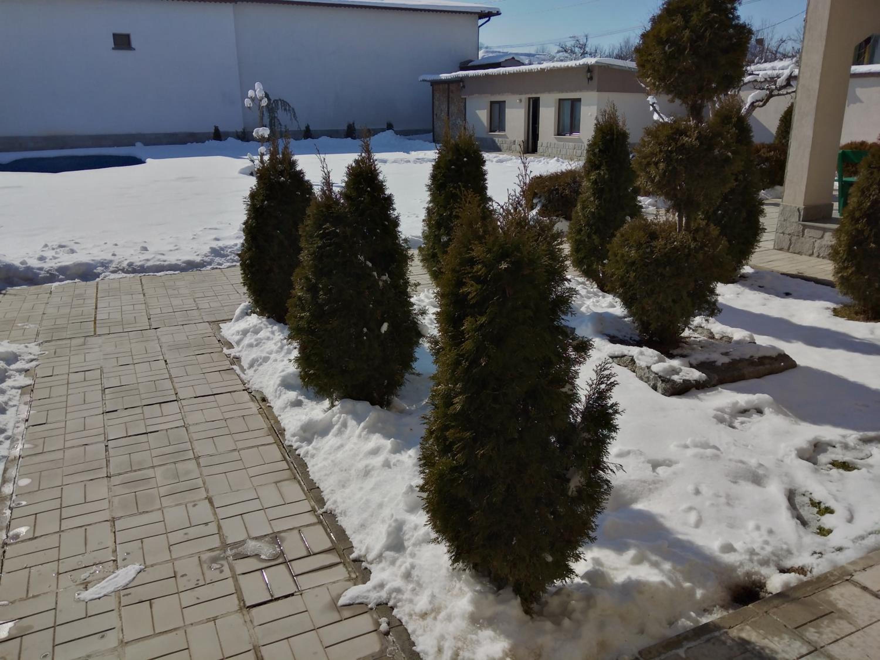 Photo 19