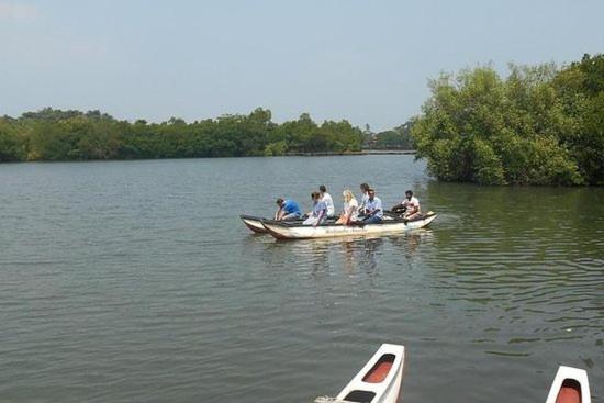 Photo 44