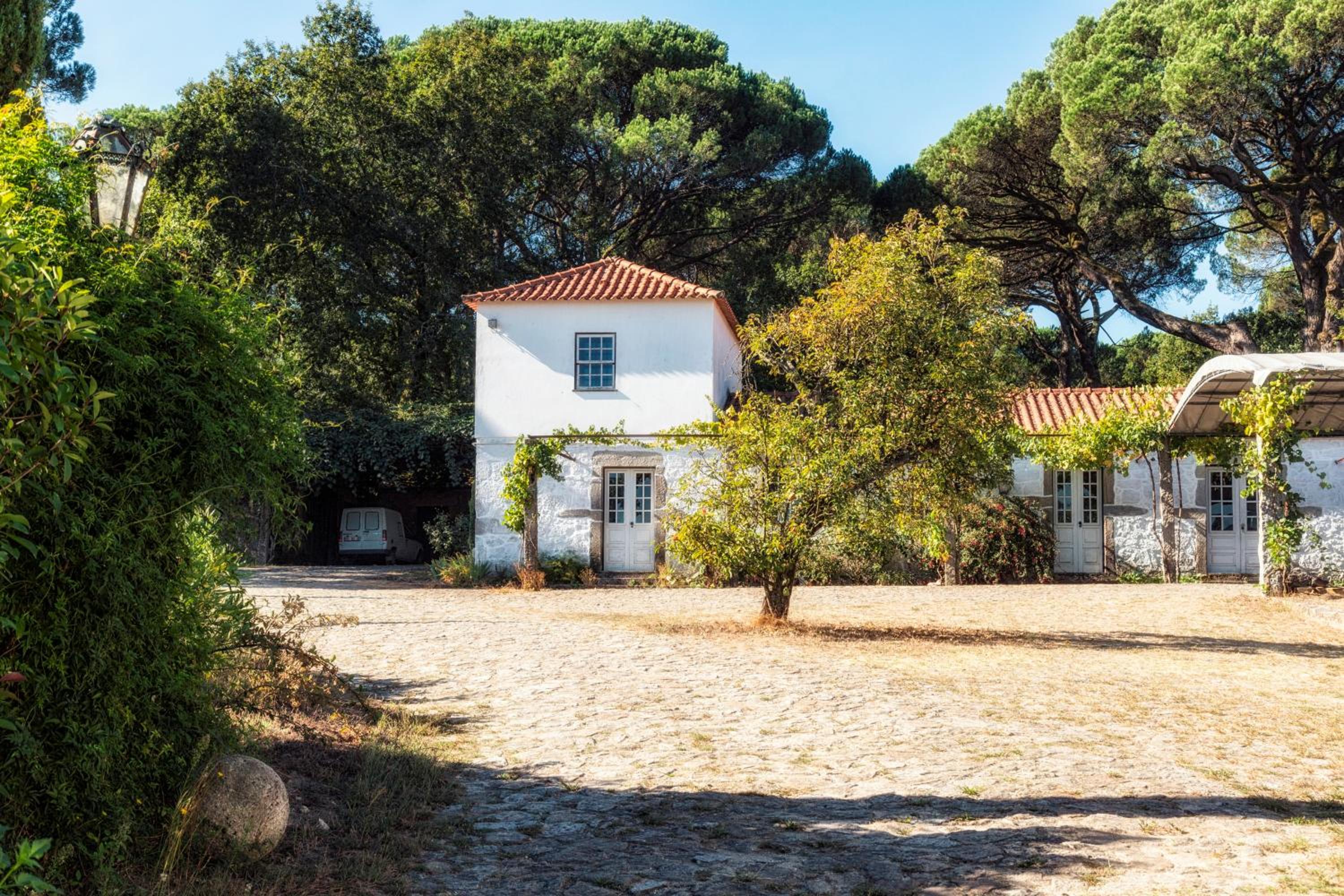 Wine Tourism - Quinta do Ameal