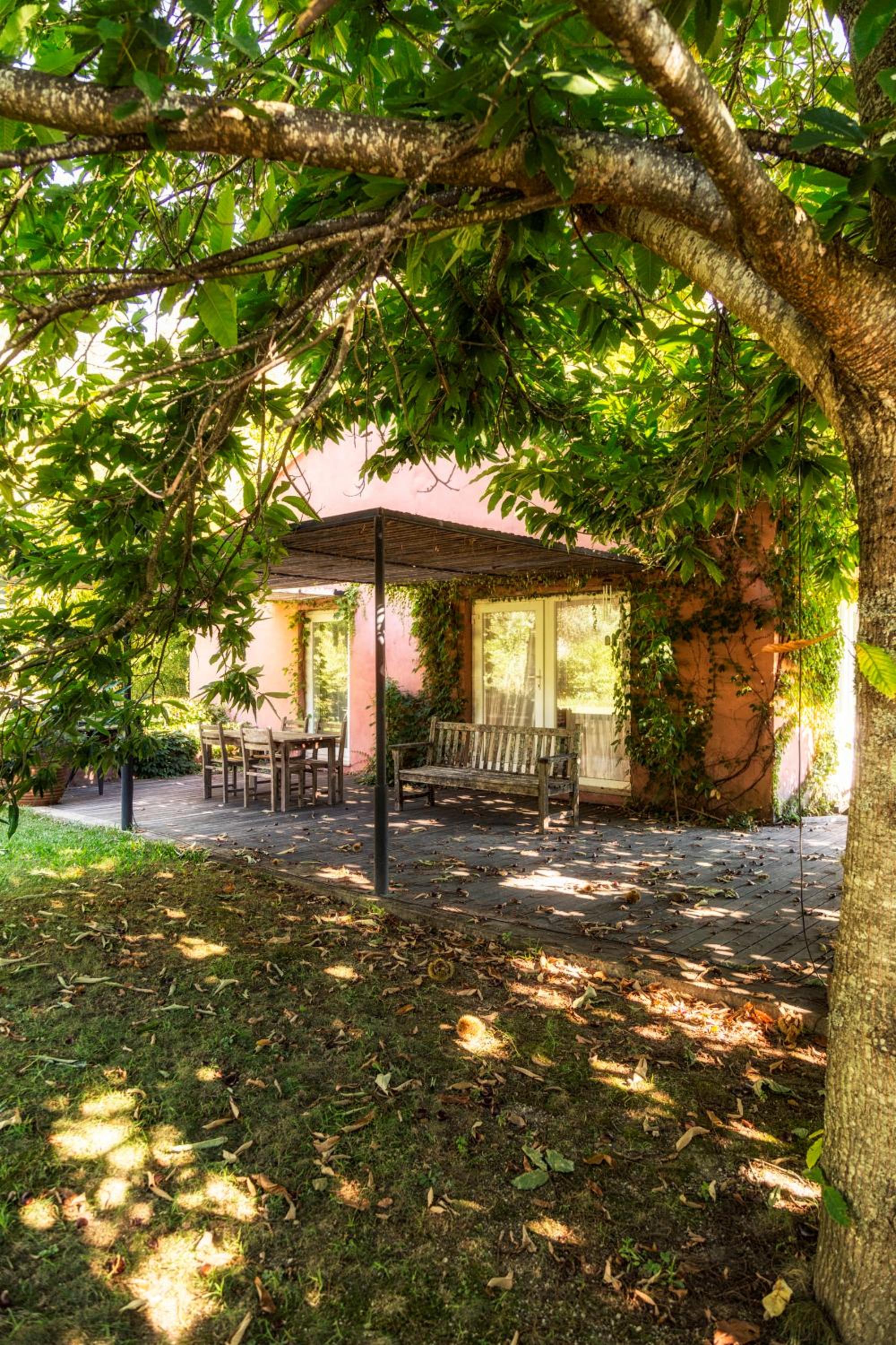 Wine Tourism - Quinta do Ameal