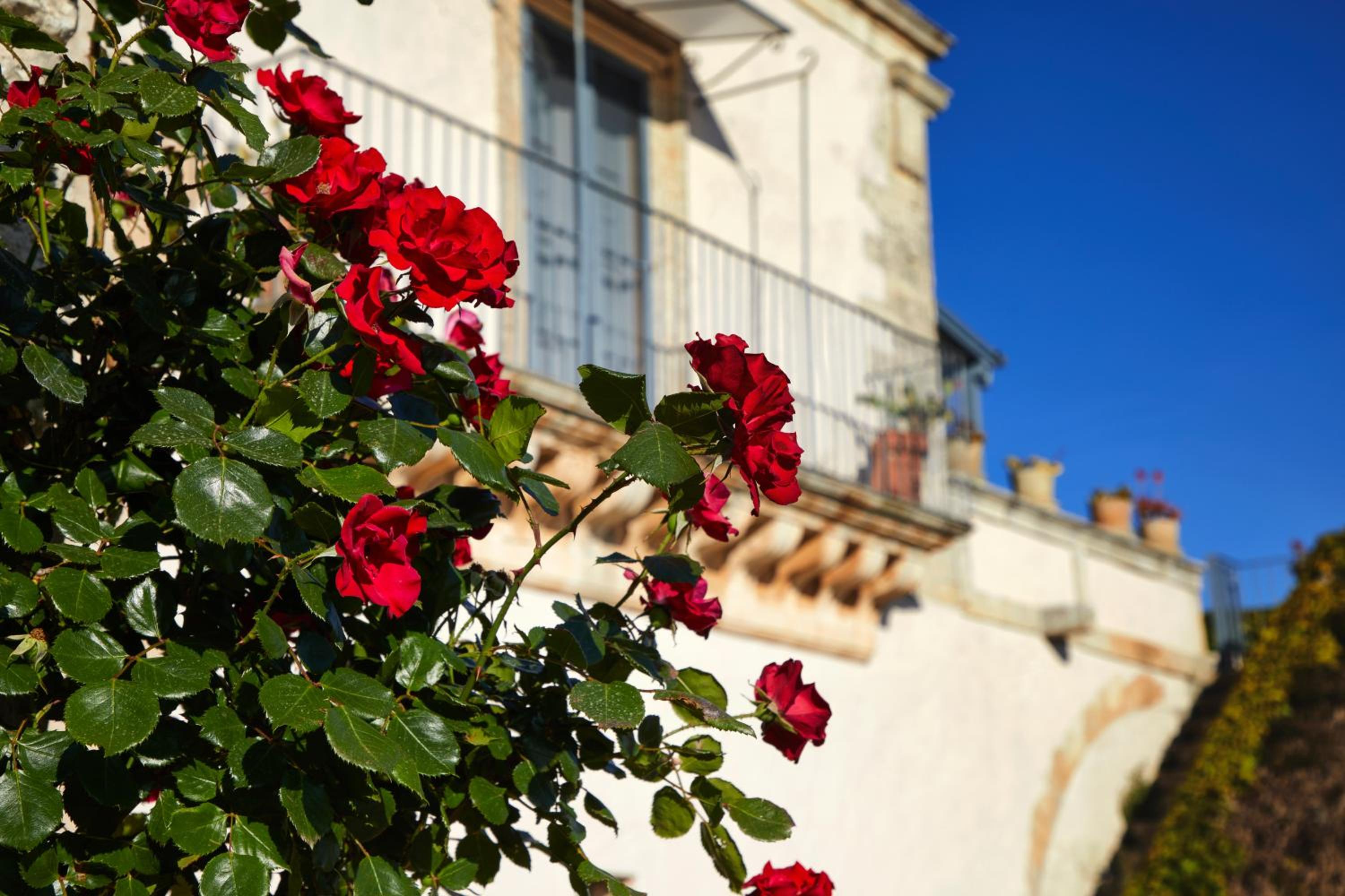 Villa Cammarana photo 4