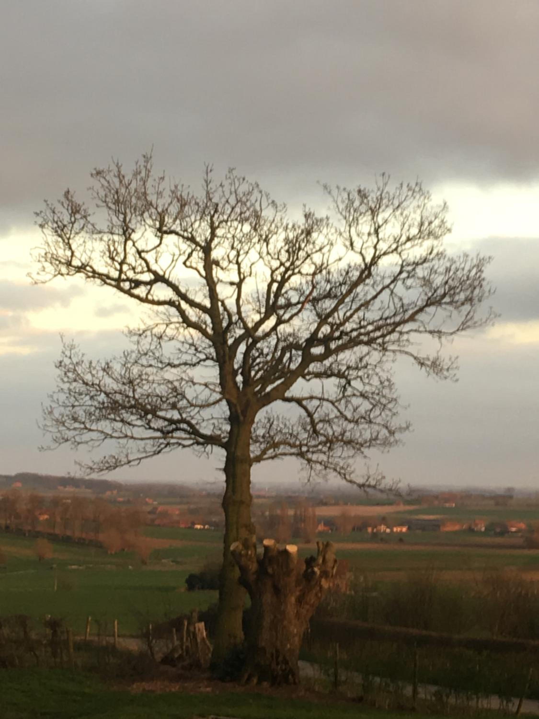Domein De Kleine Mote