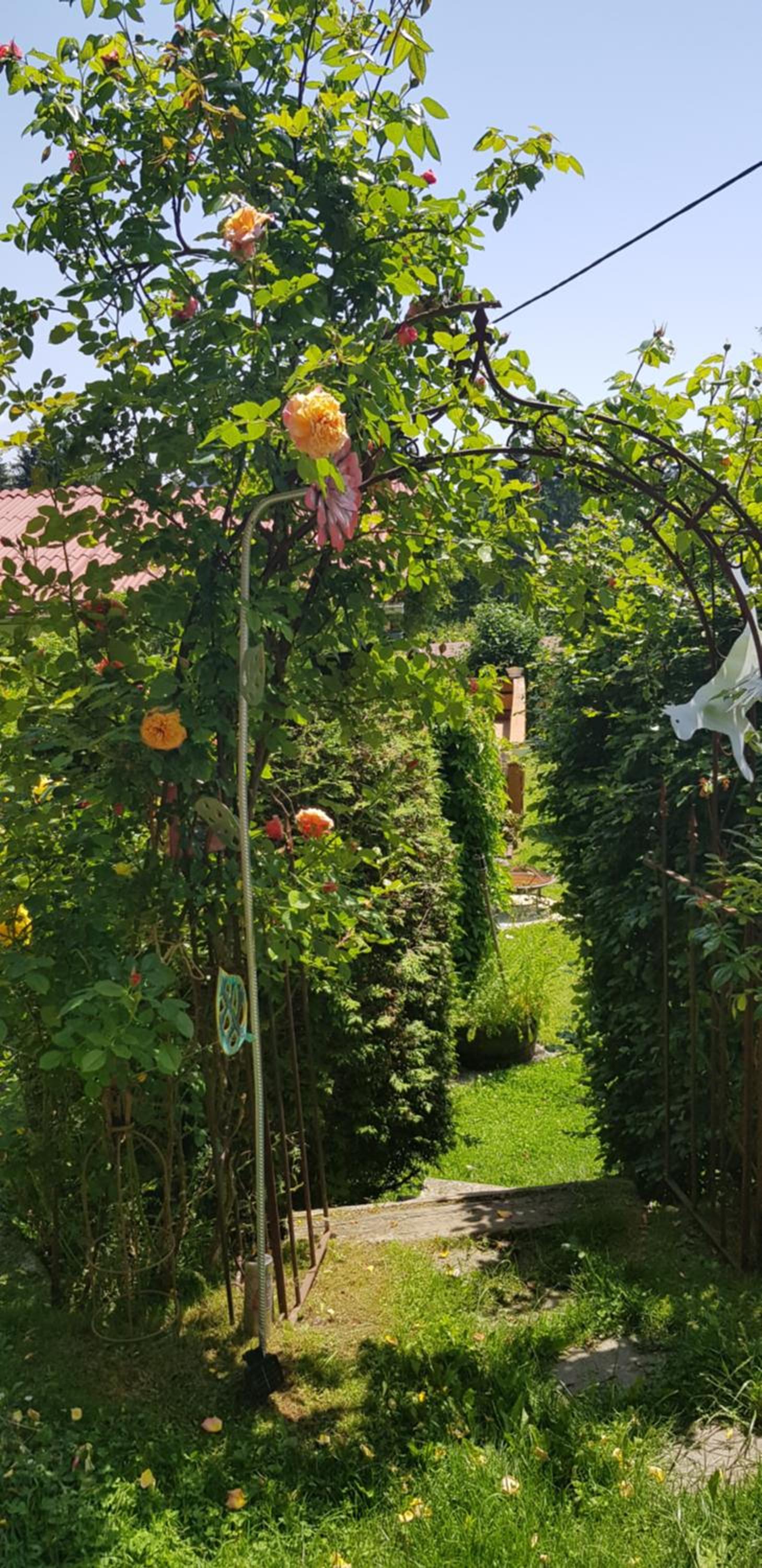 Knusperhäuschen Maria Nikoletta