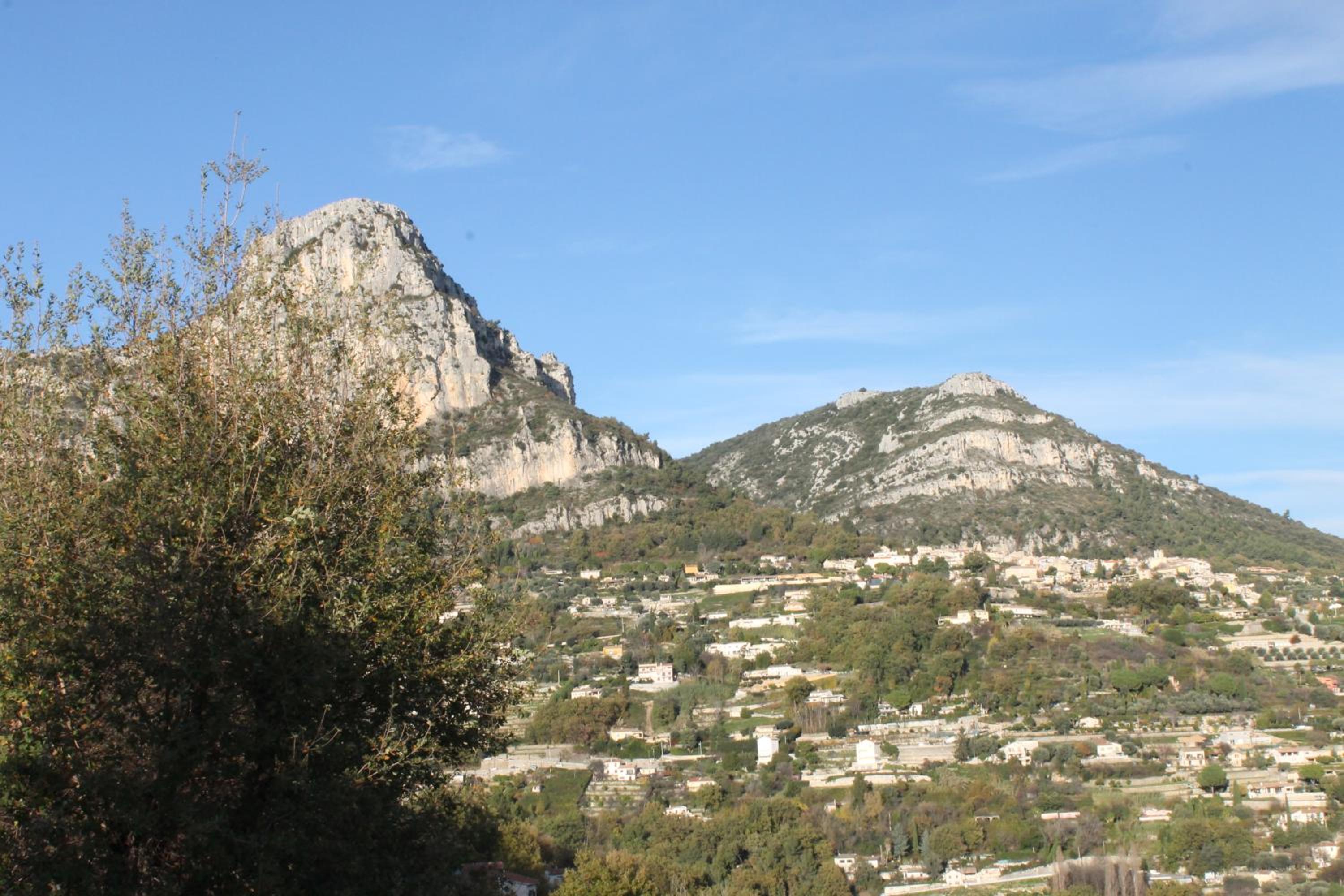Photo 47