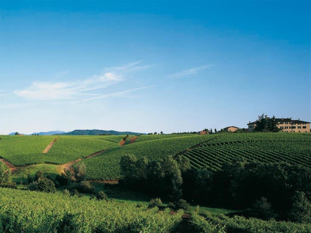 Agriturismo Tenuta la Marchesa view 5
