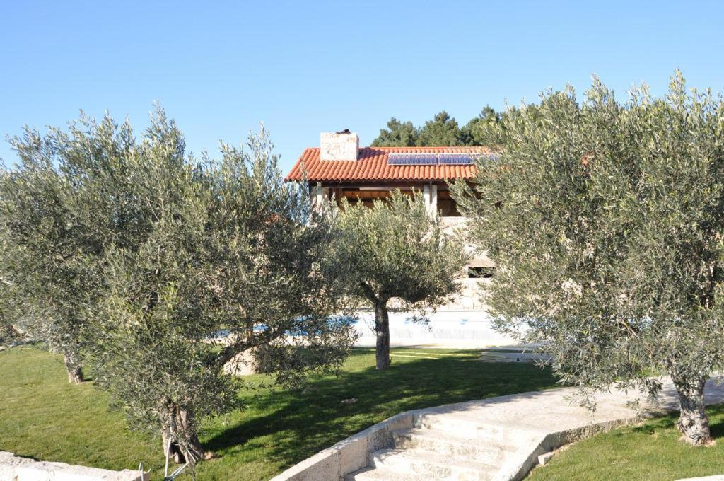 Quinta do Olival