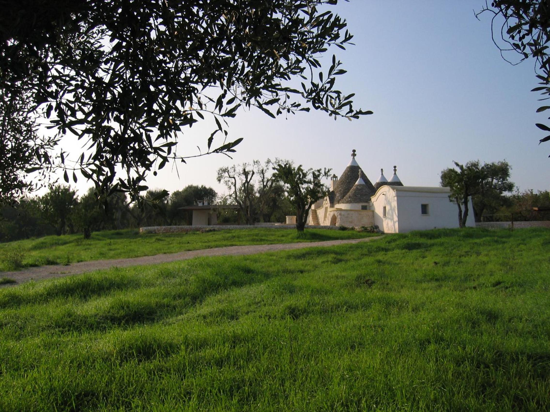 Photo 26