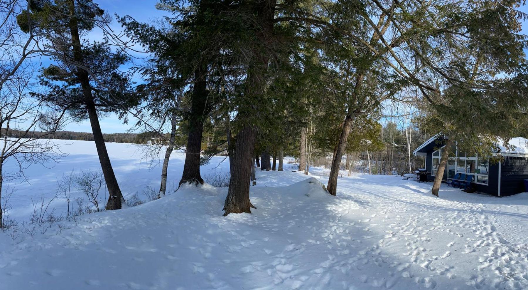 Walker Lake Resort