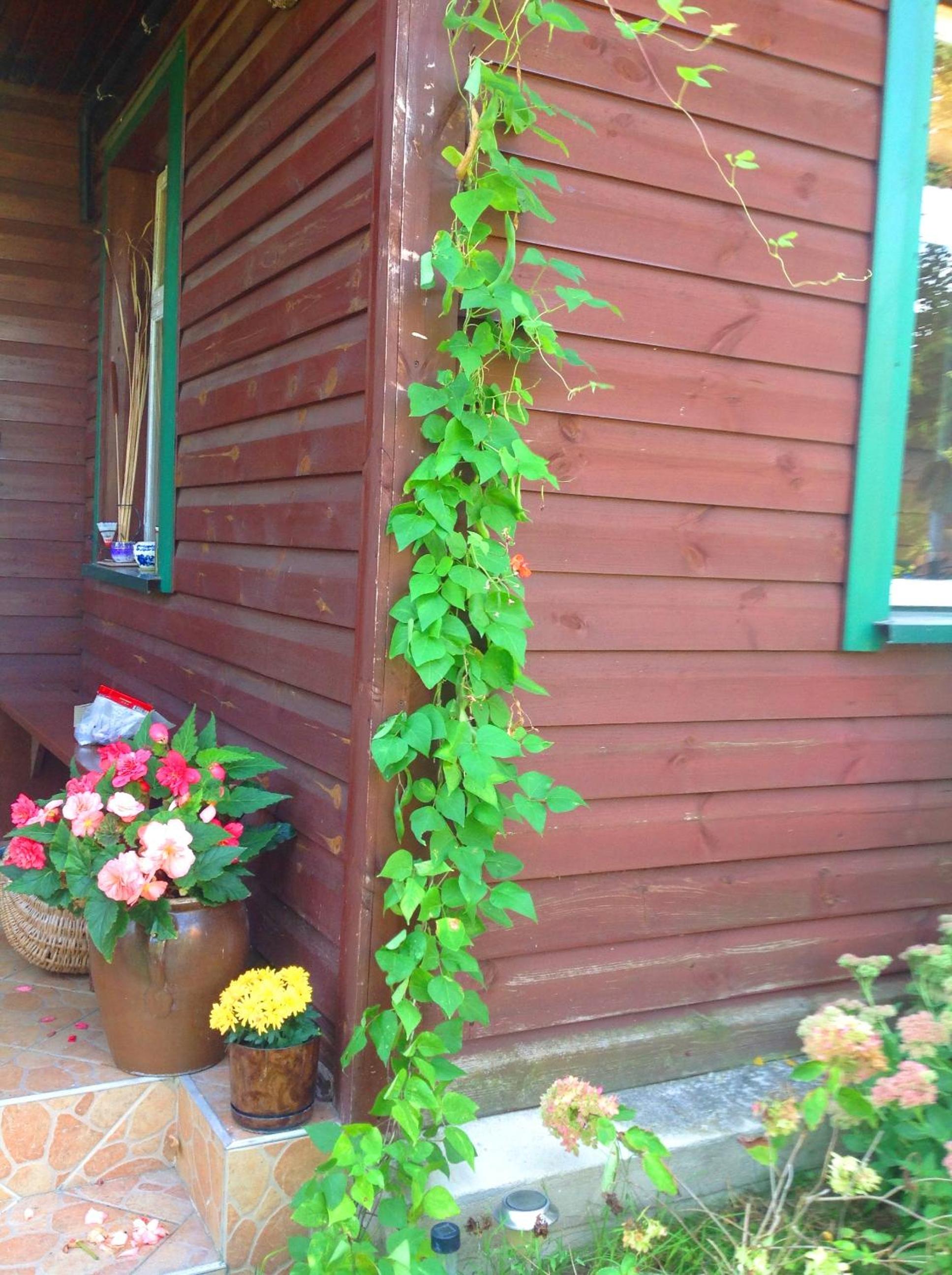 Photo 26