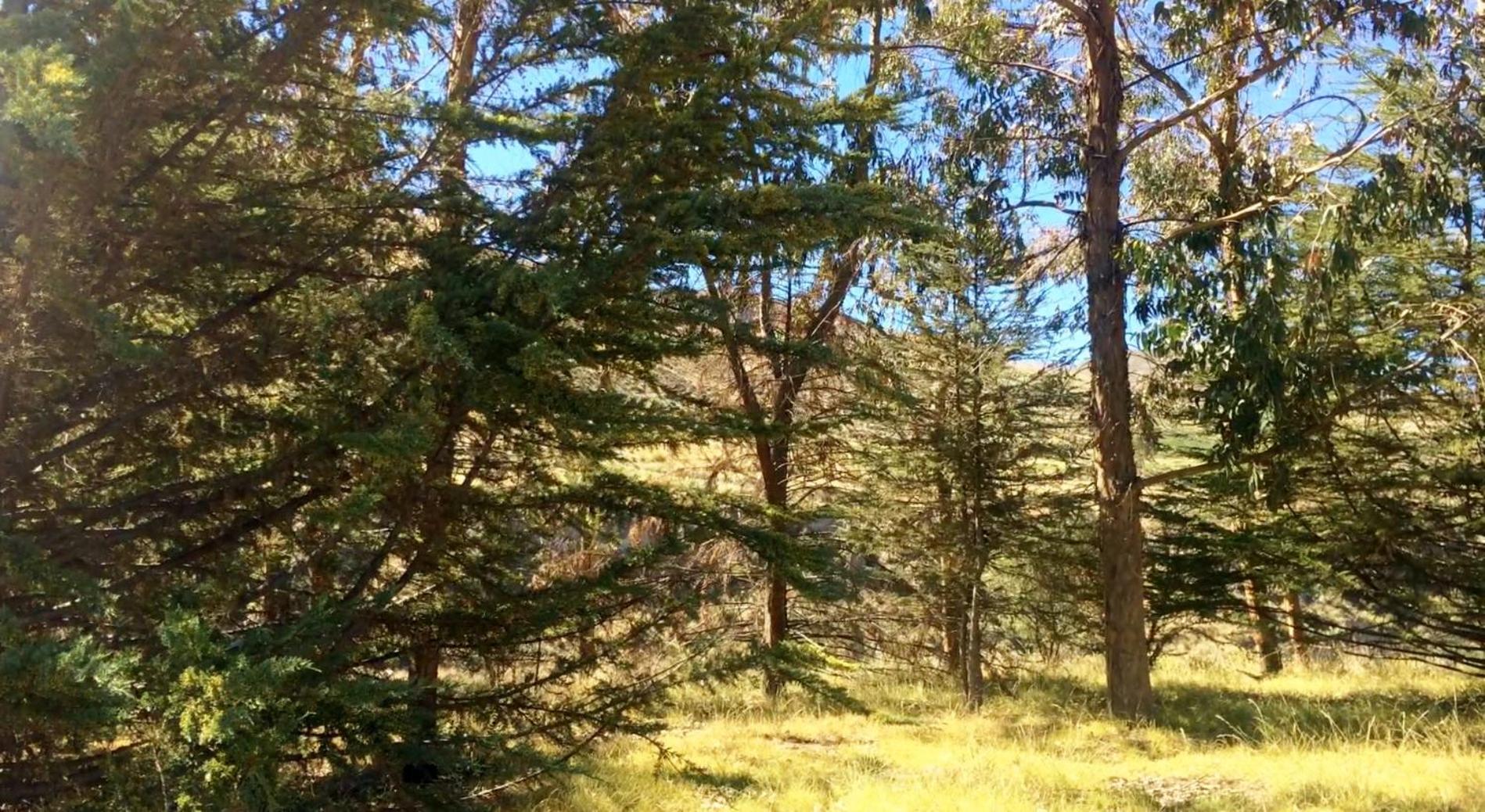 La Chakana Lodge view 5