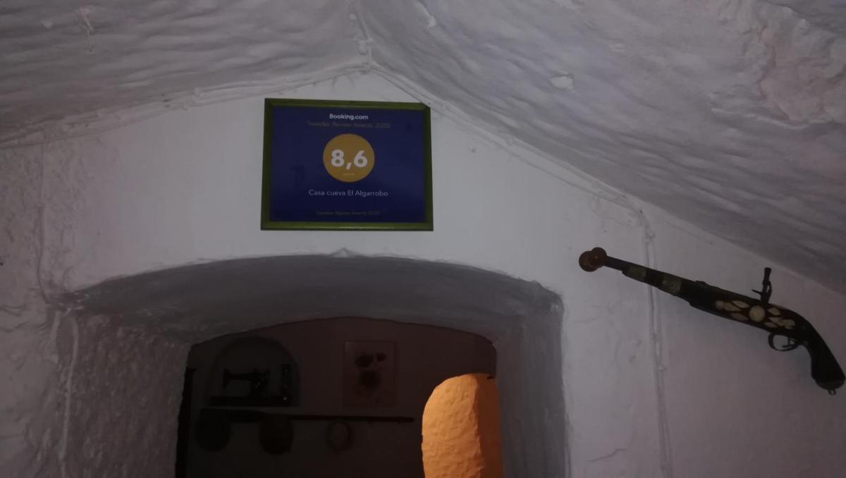 Photo 51