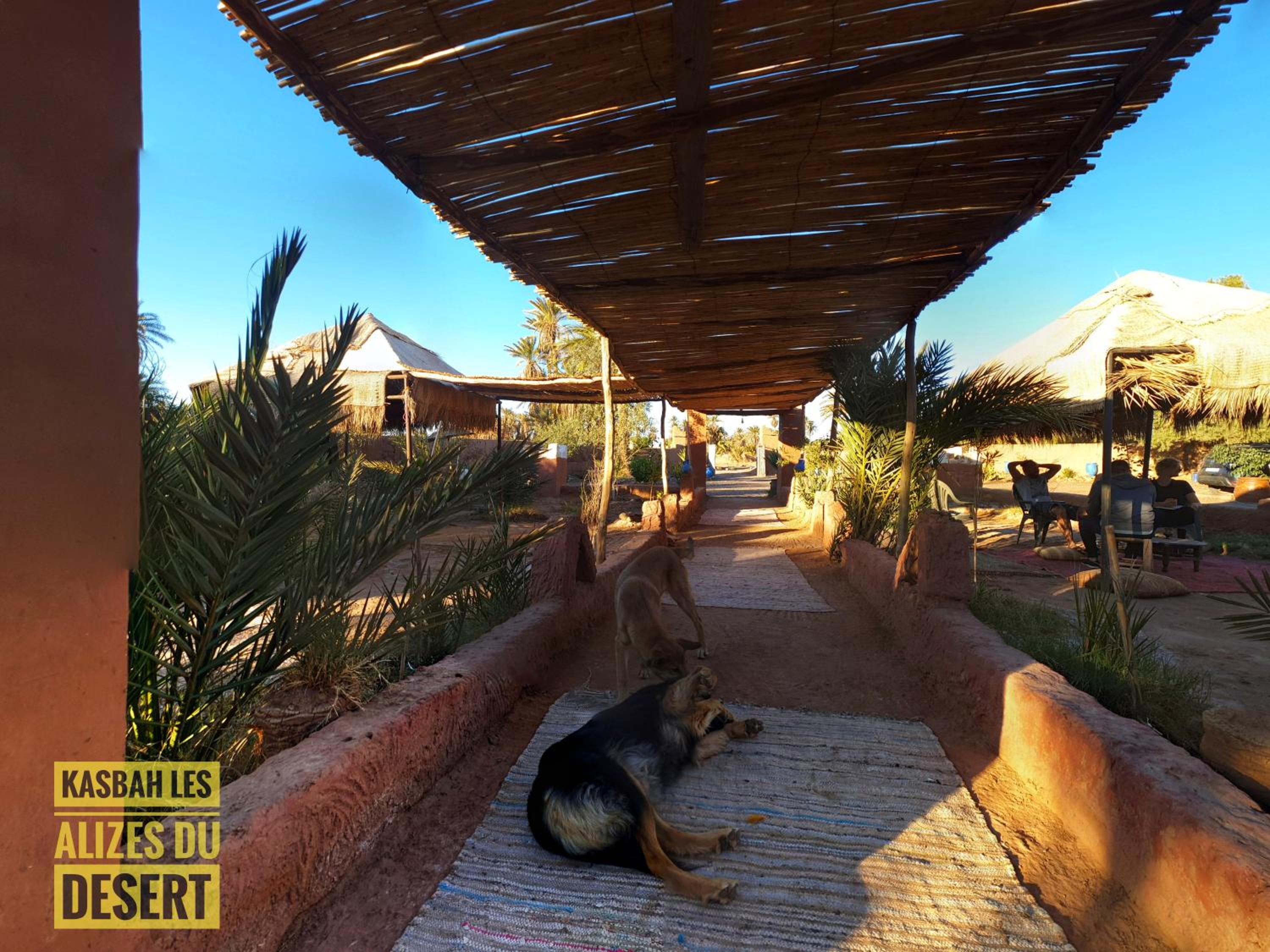 Kasbah Les Alizes Du Desert