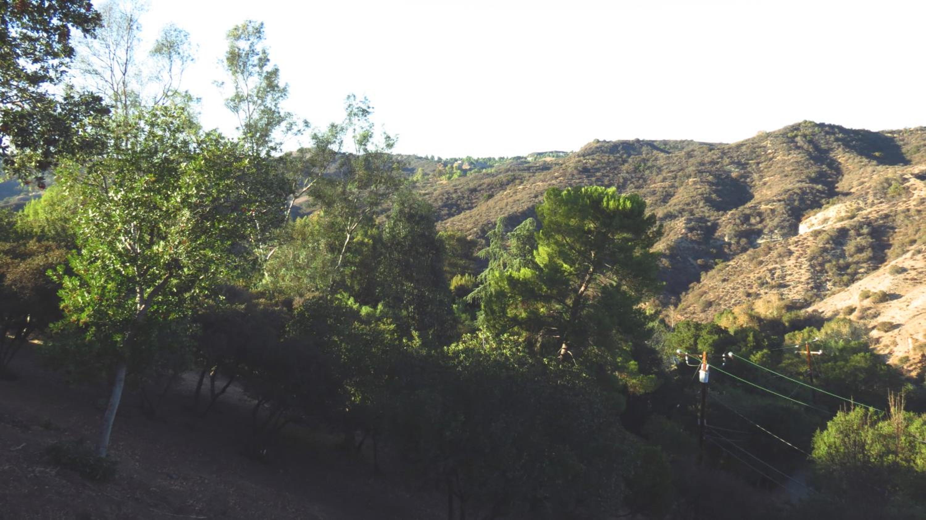 Topanga Canyon Inn Bed and Breakfast - Property Image 25