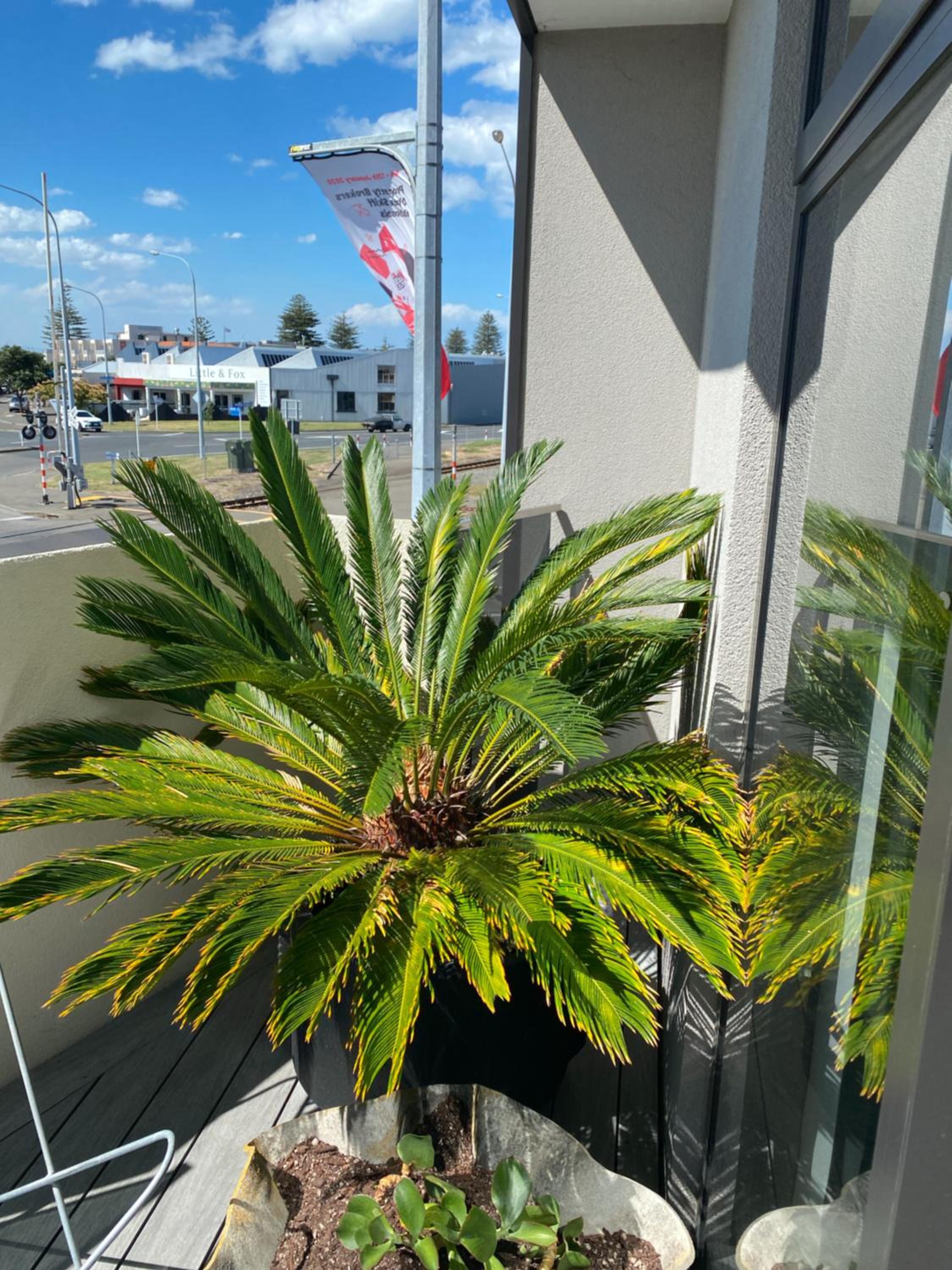 Photo 17