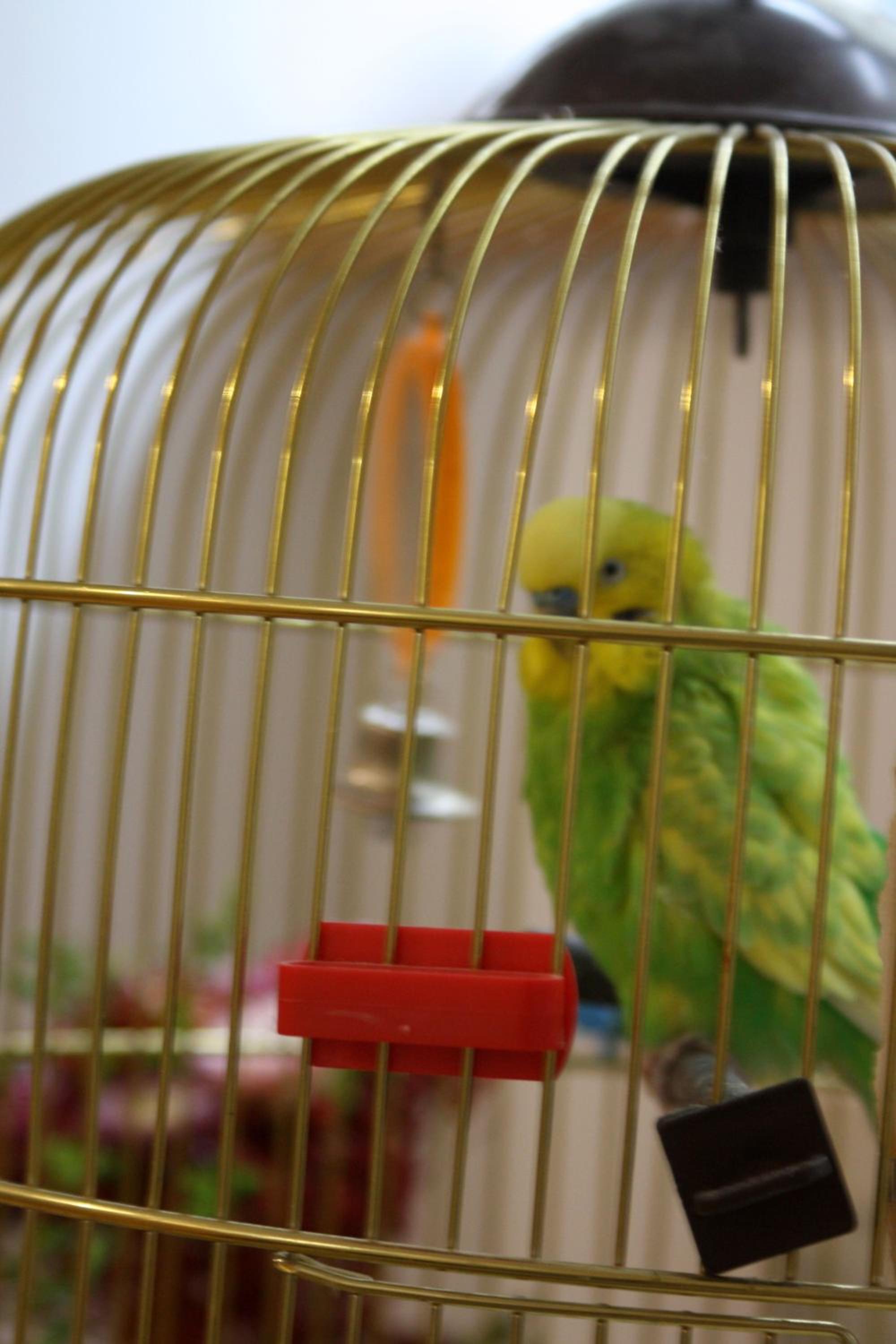 Photo 20