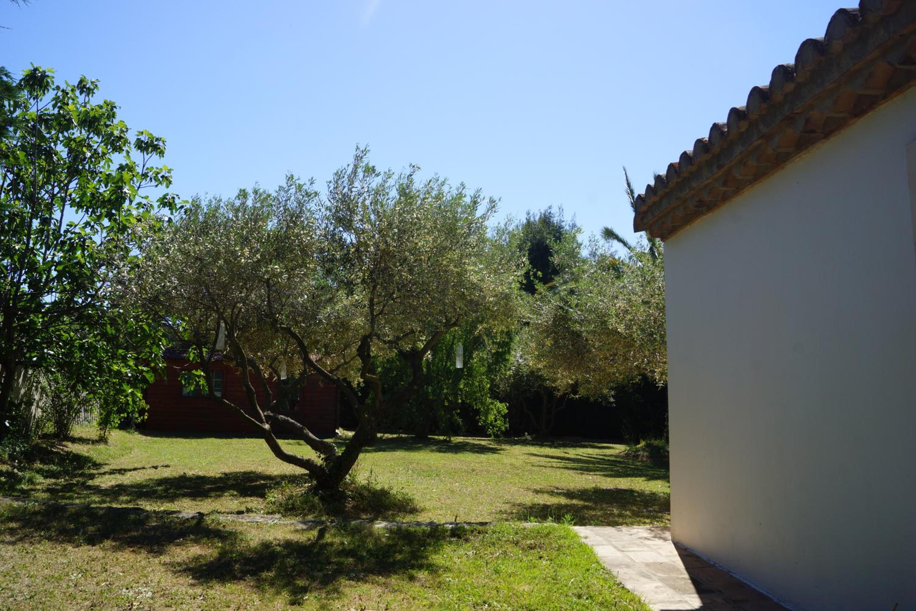 Studio au coeur de la petite camargue view 4