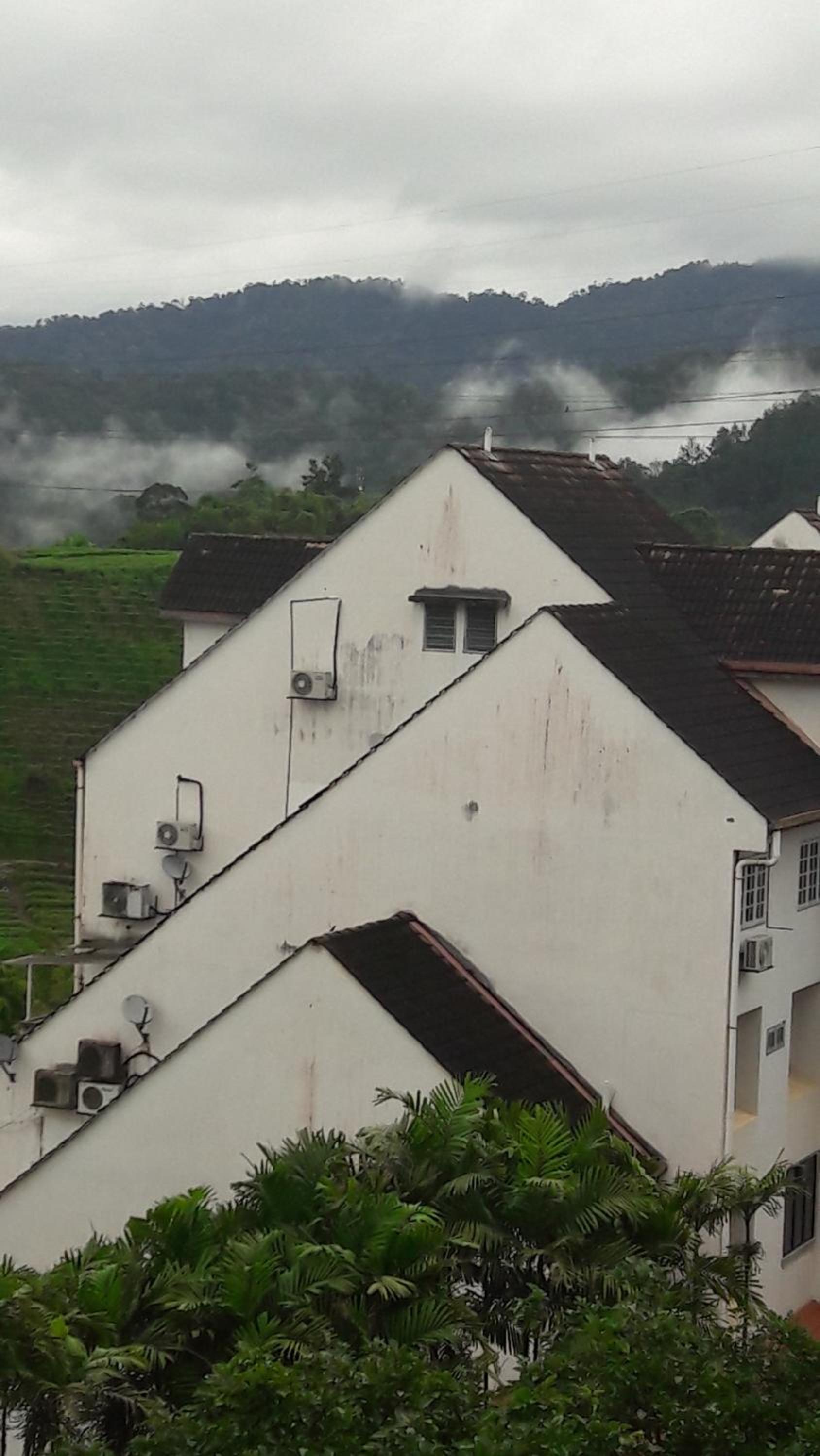 Bukit Tinggi Fuchsia Hillhomes photo 7