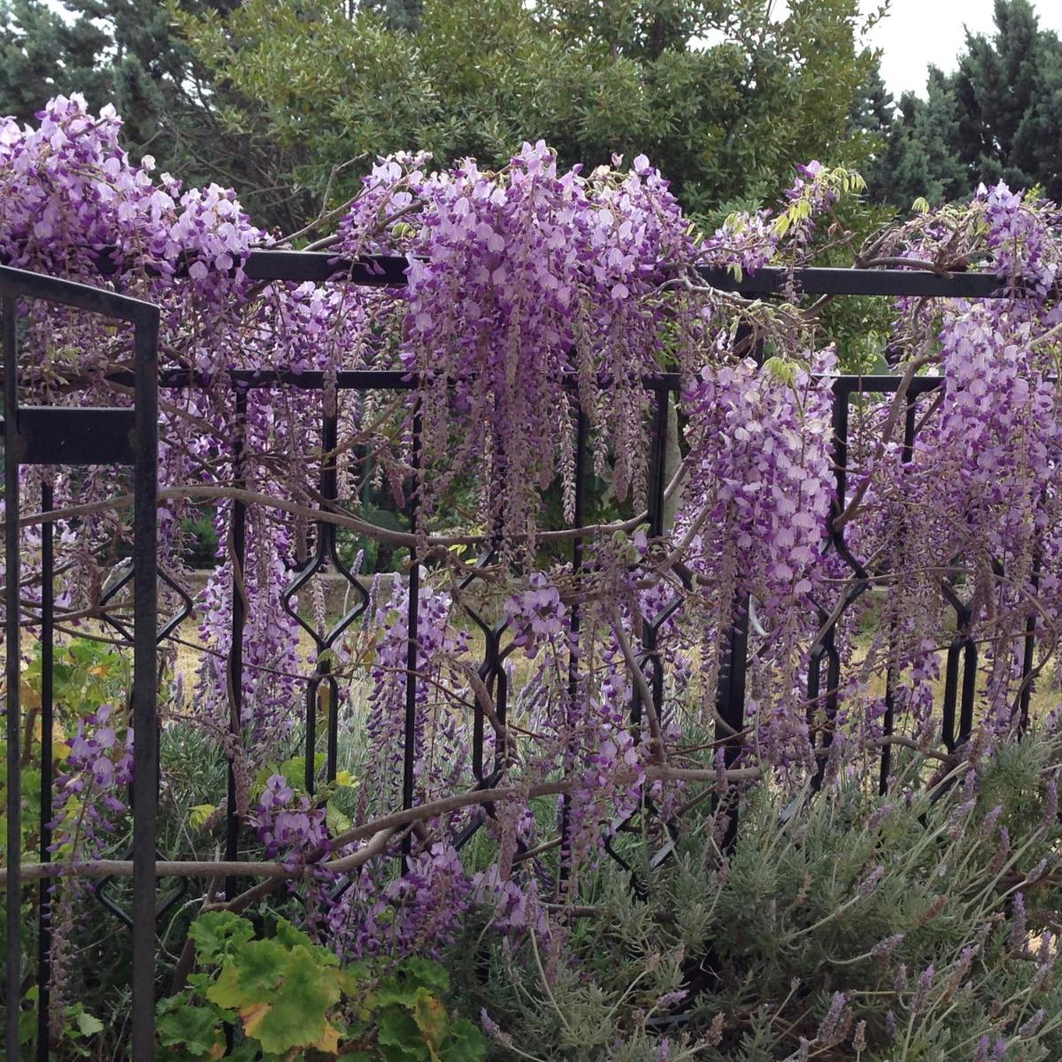Magnificent villa close to the historic town of Ostuni and beaches photo 2