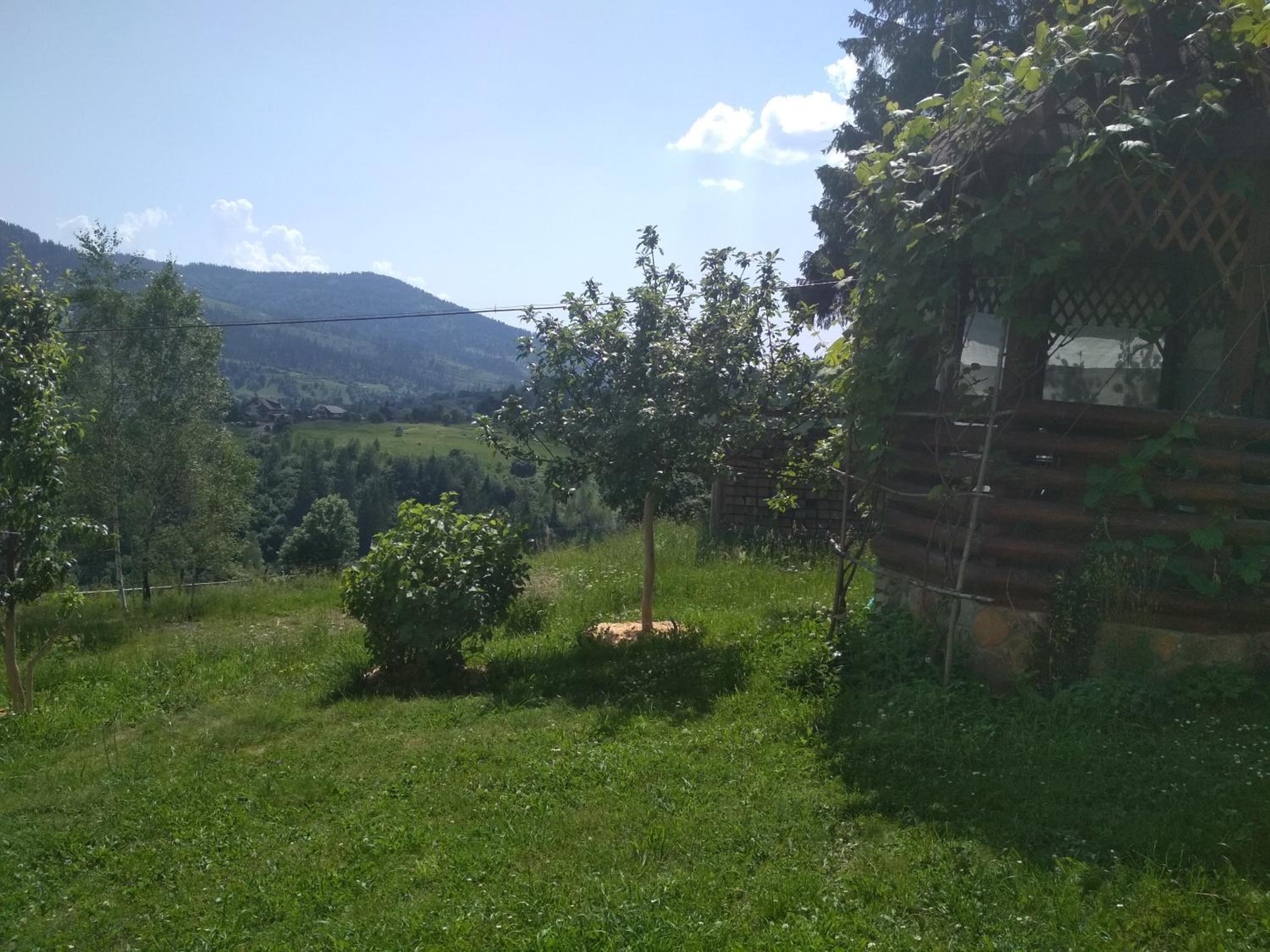 Photo 24