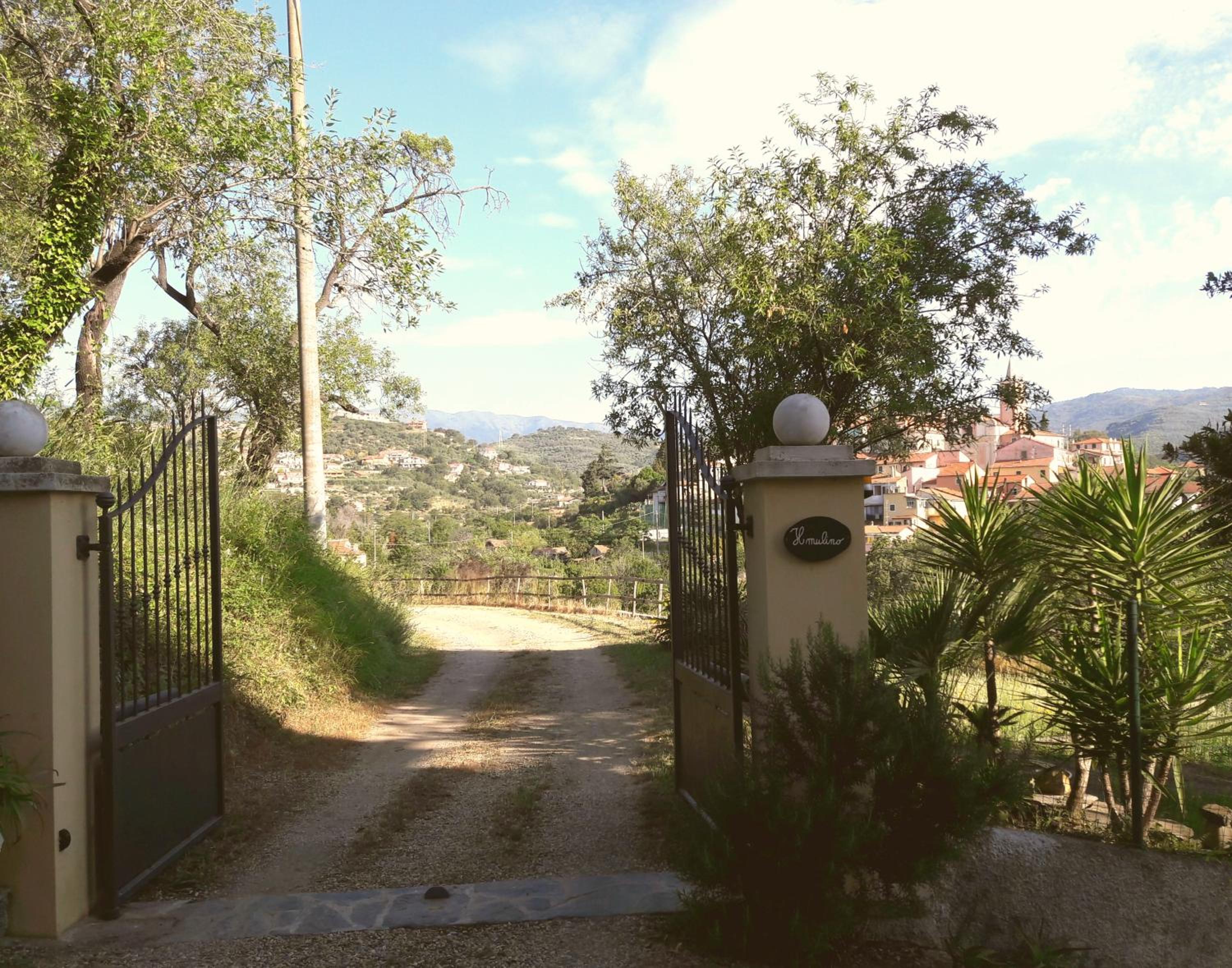 Photo 28