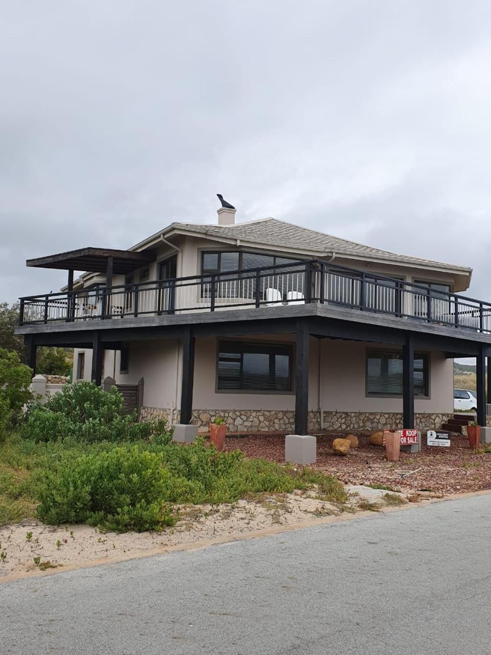 Gull's Stilbaai