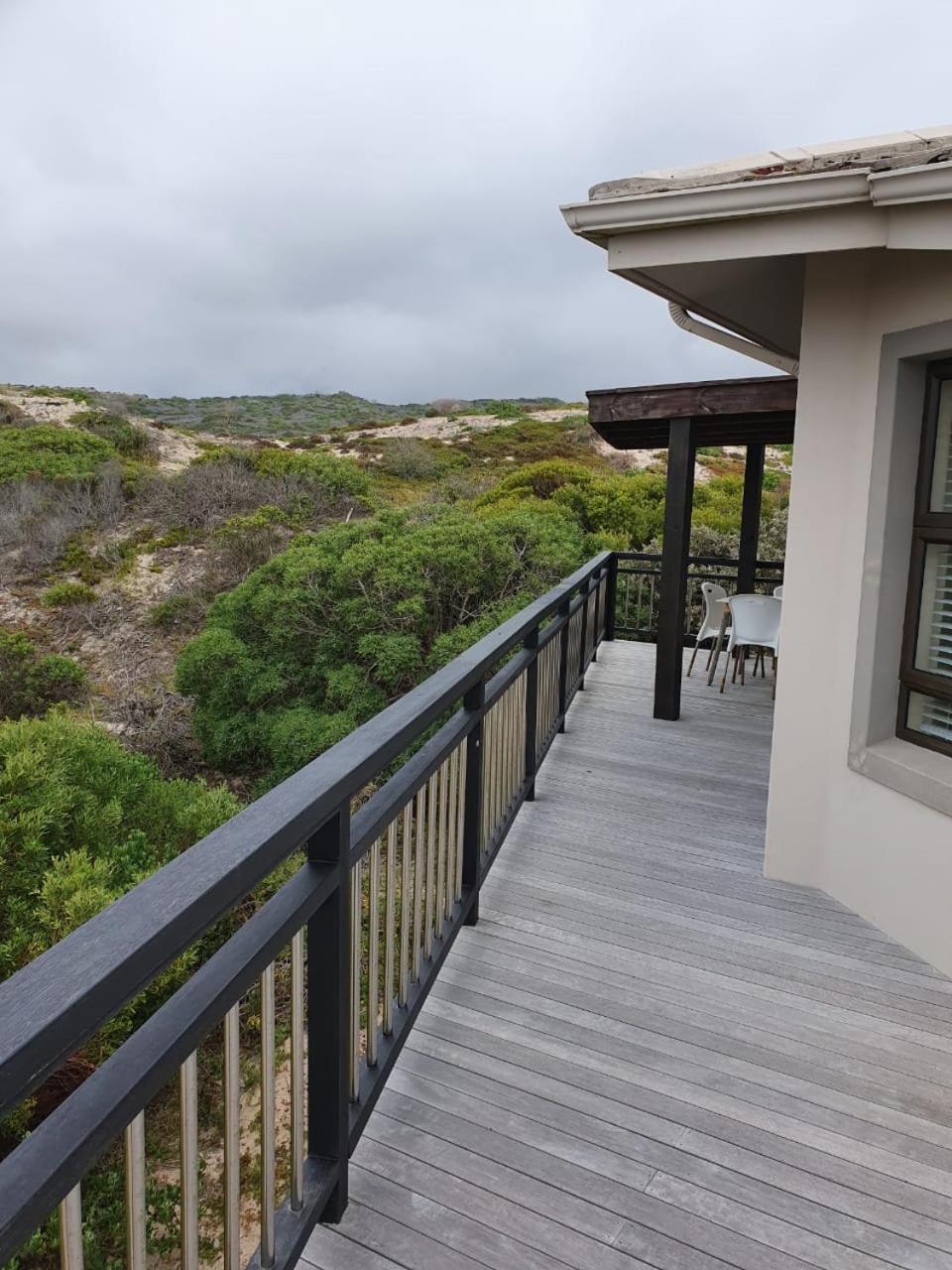 Gull's Stilbaai