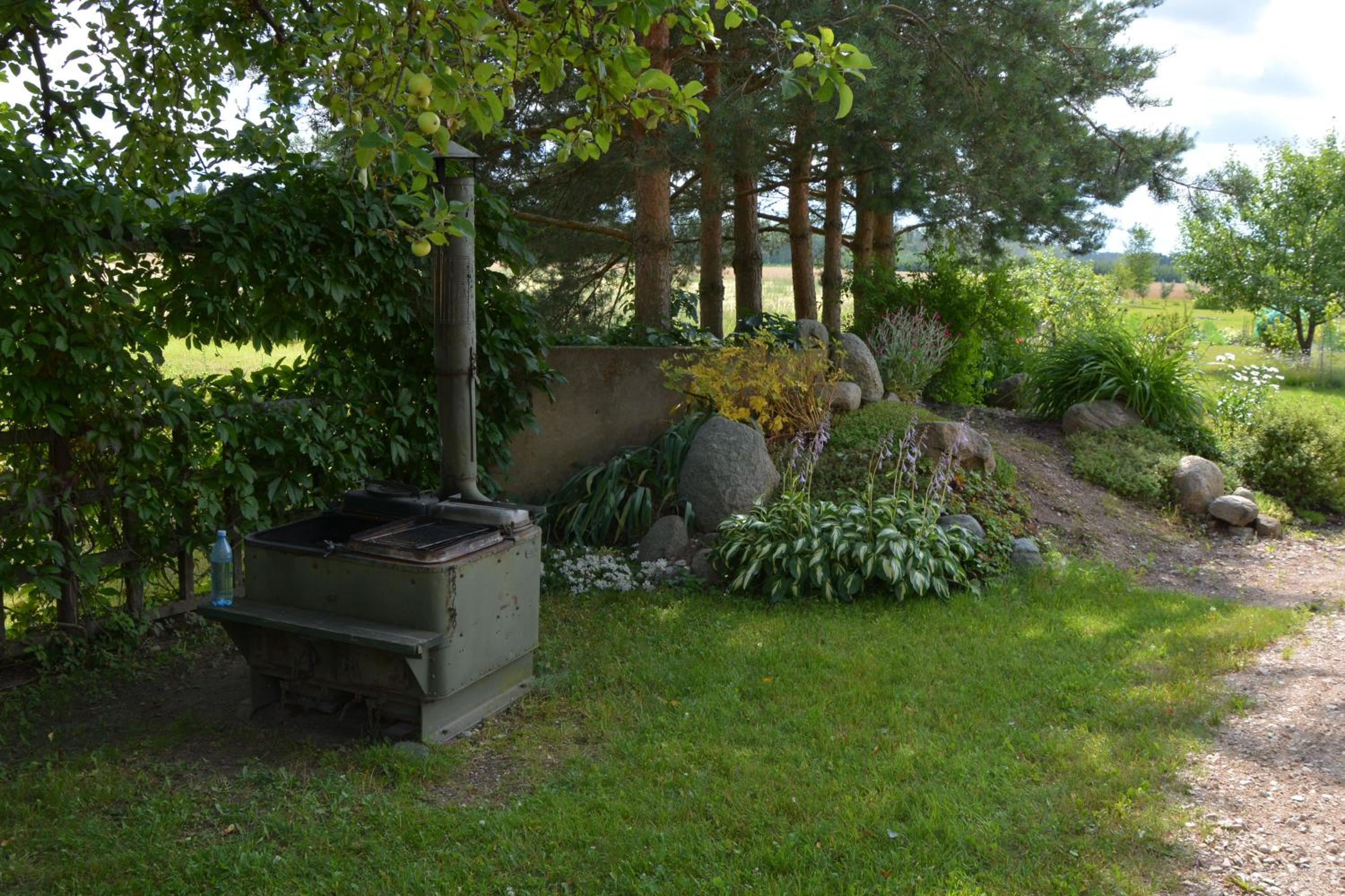 Photo 7