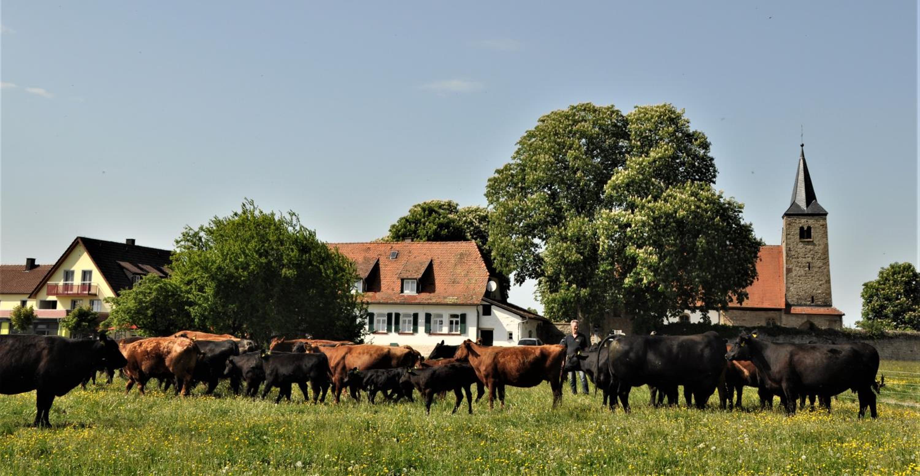 Schäfer's Ferienhof Michaelsberg