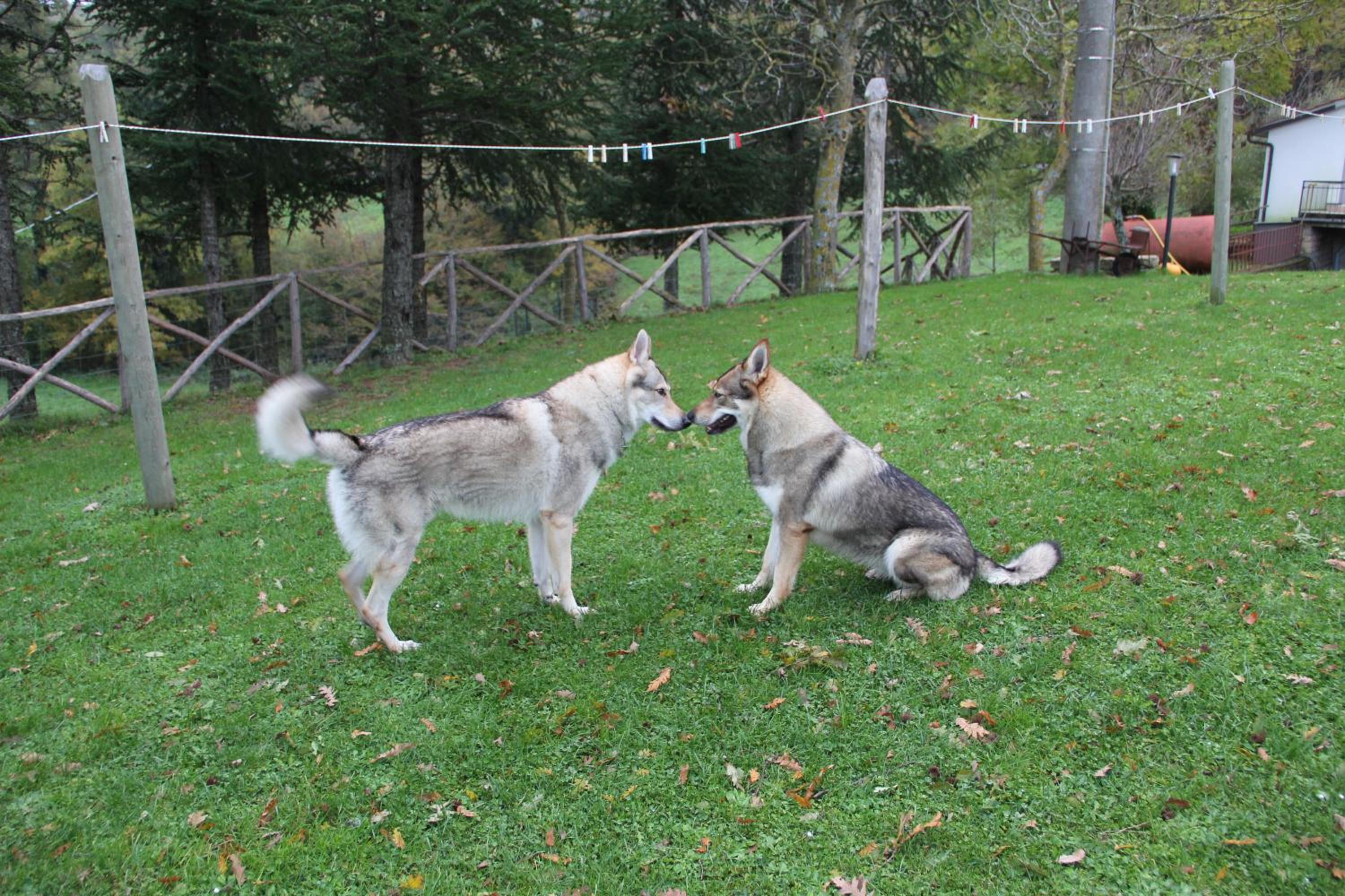 Photo 22