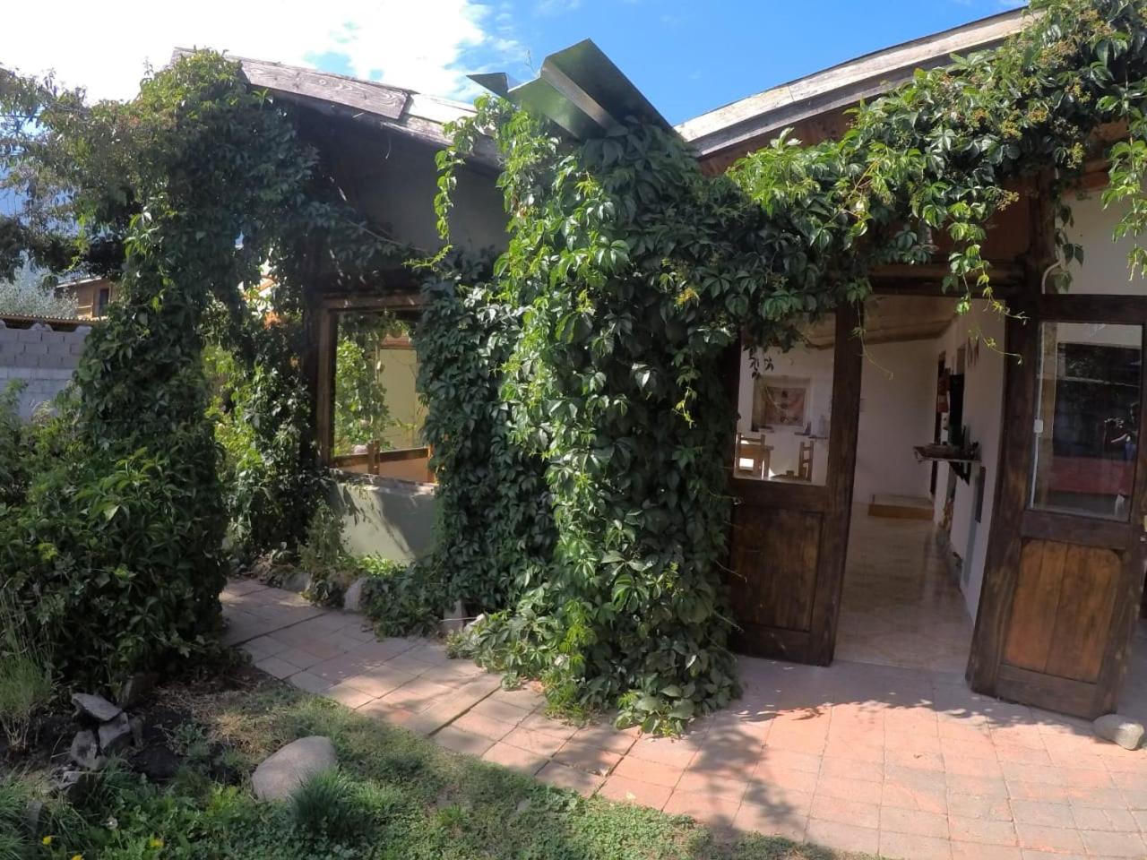 Pura Vida Hostel