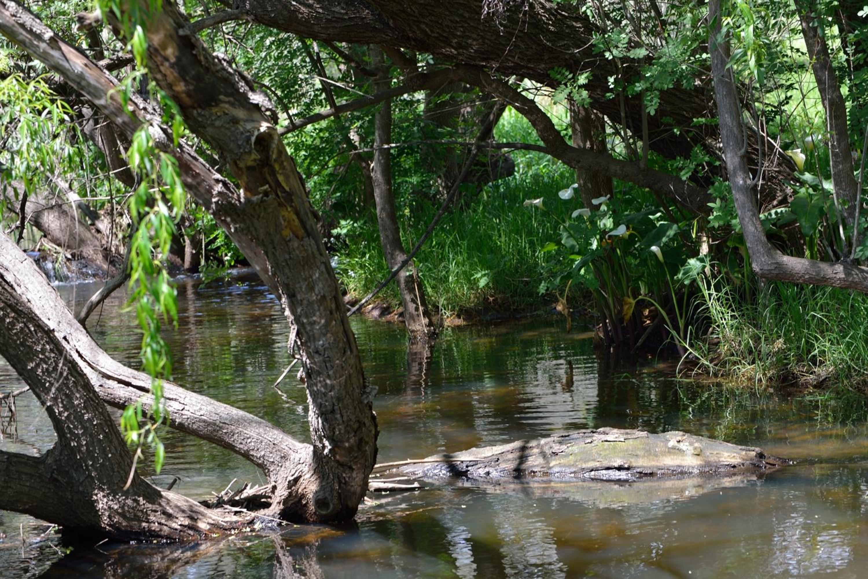 Adelaide Brownhill Creek Tourist Park