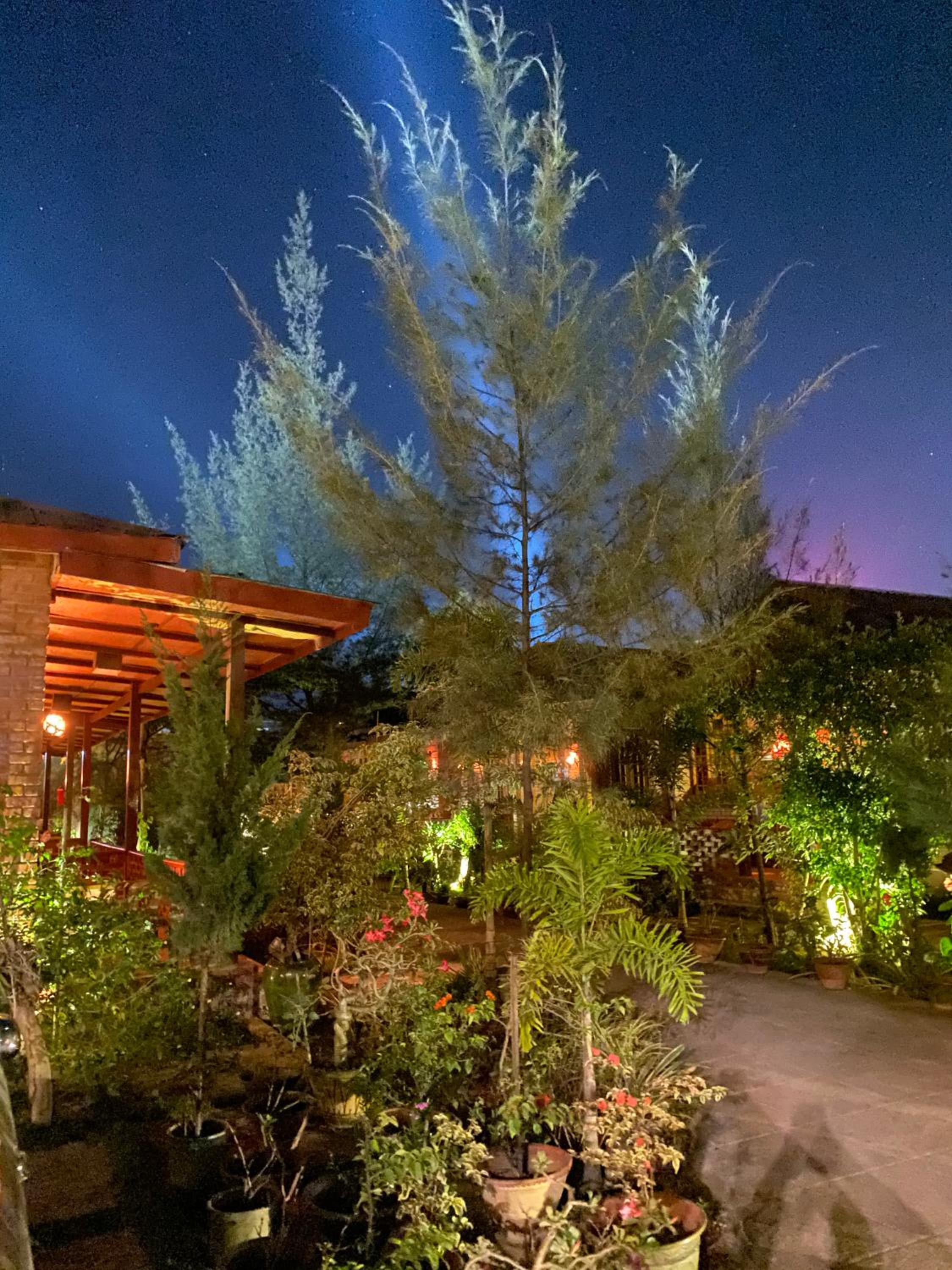 Trinity Family Inn