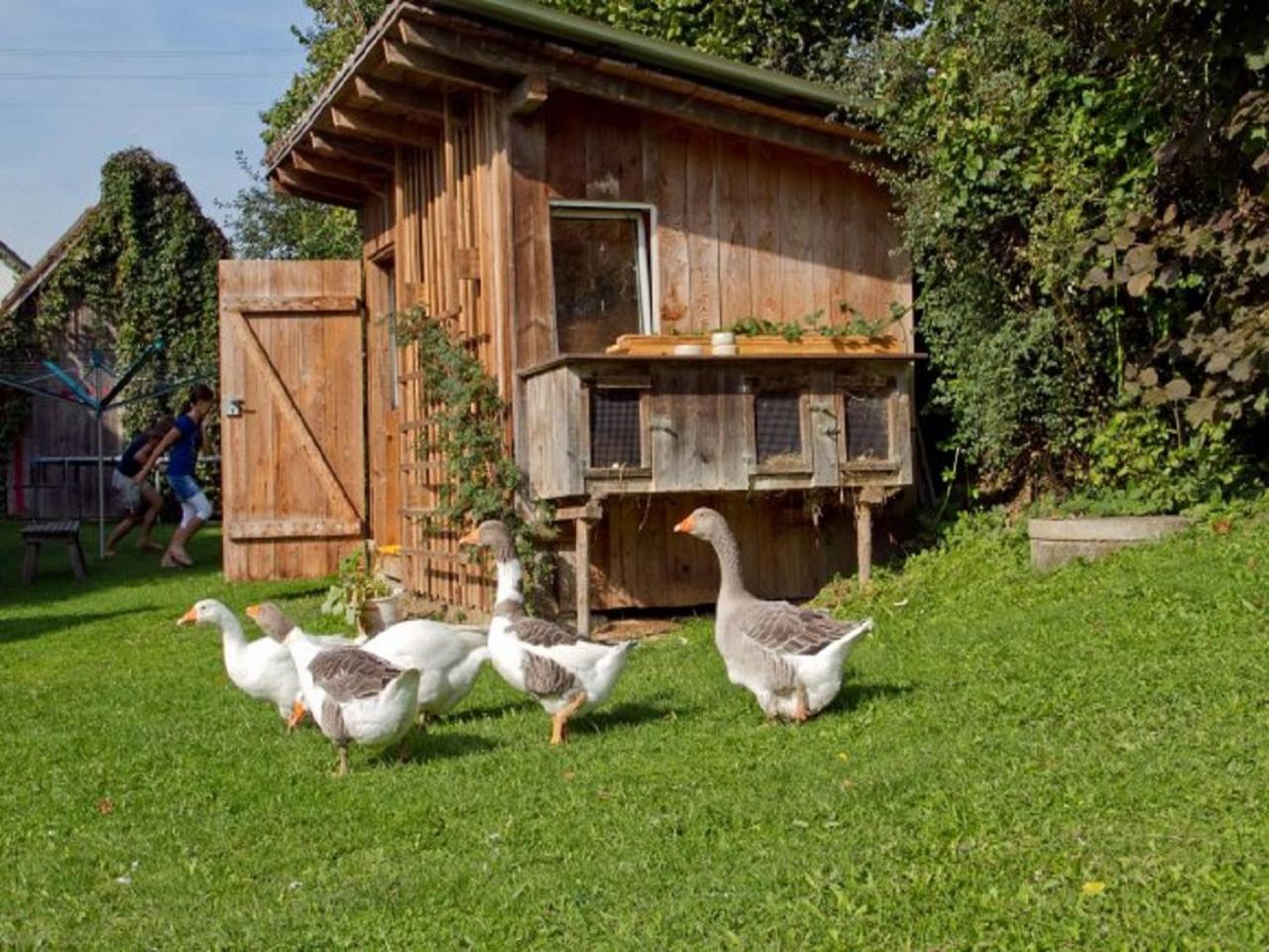 Gästehaus Schneider