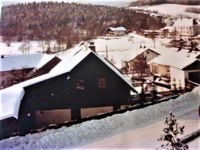 Ferienhaus Marschollek